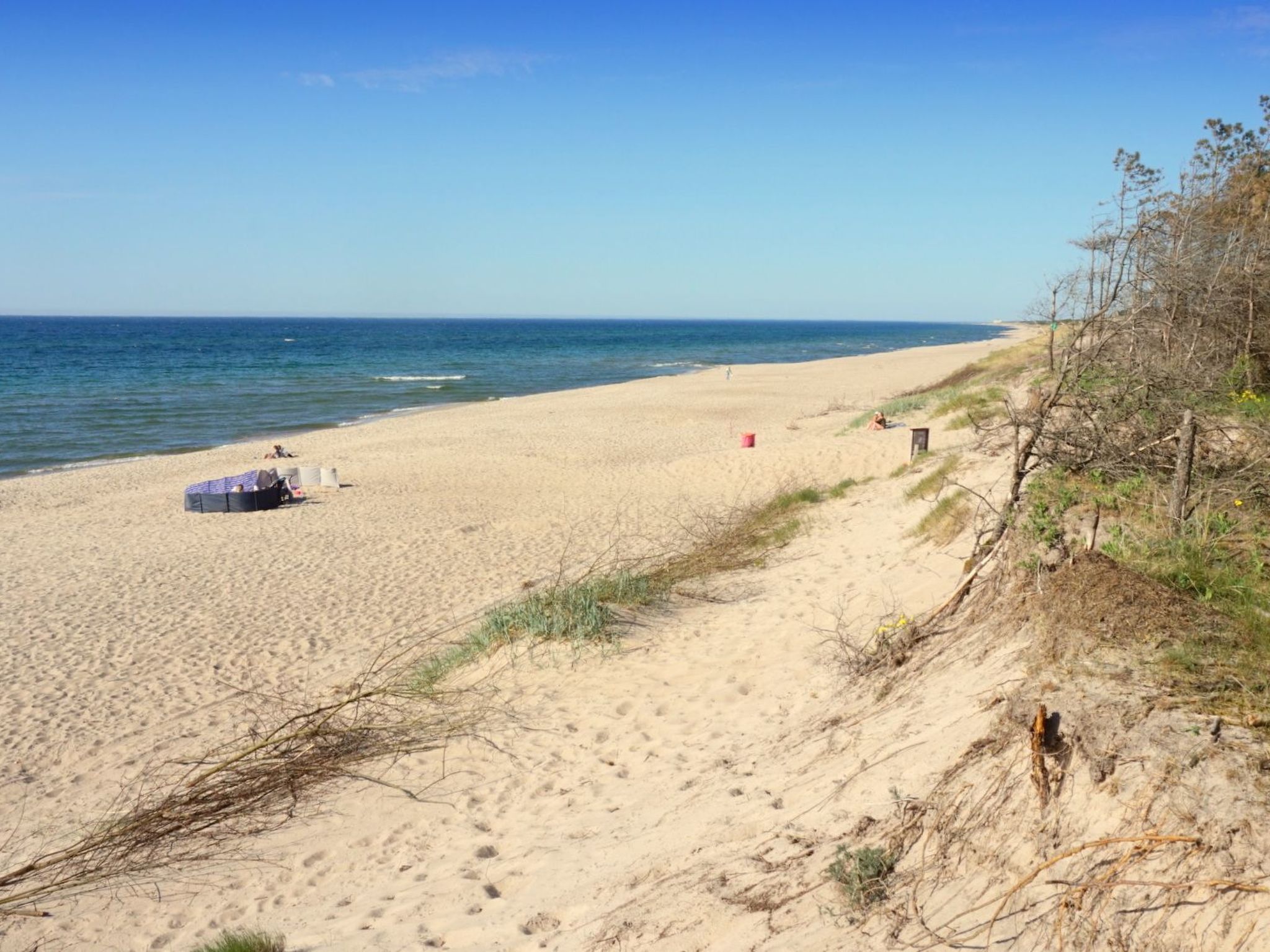 "Paradise Star Bobolin"-Binnen