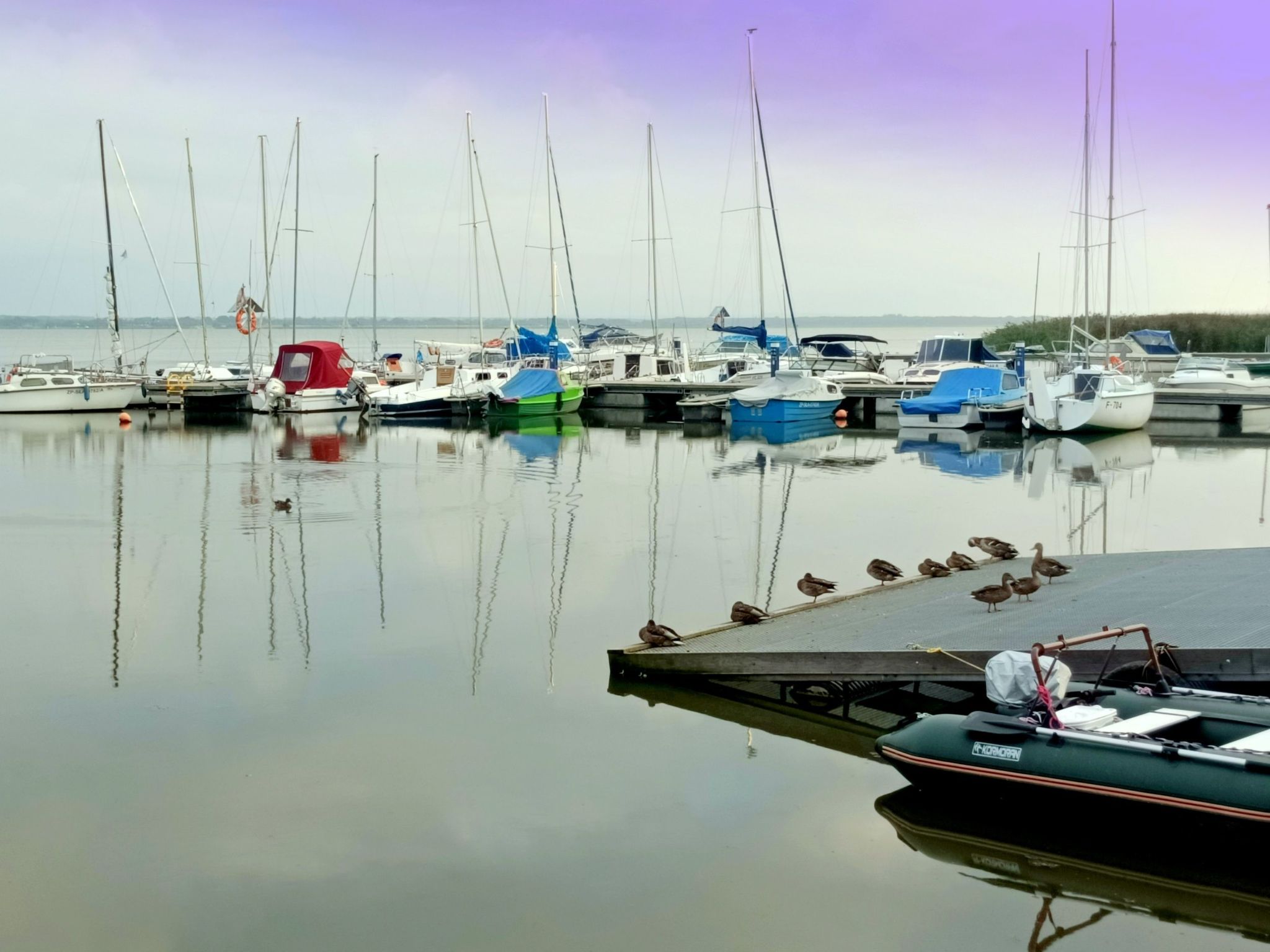 "Paradise Star Bobolin"-Binnen