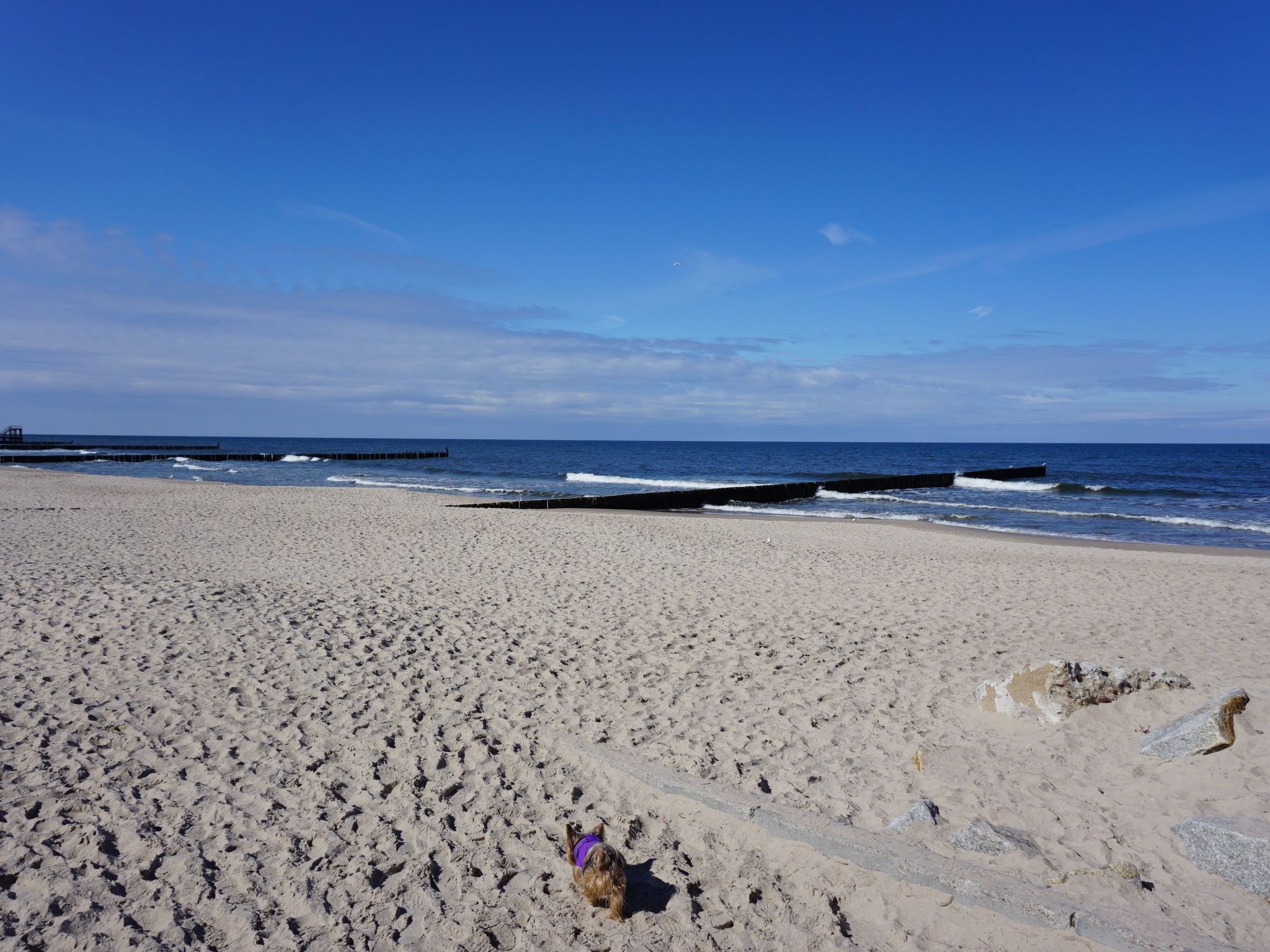 Vrijstaande vakantievilla voor 6 aan de Oostzee, 50m van strand - foto 34
