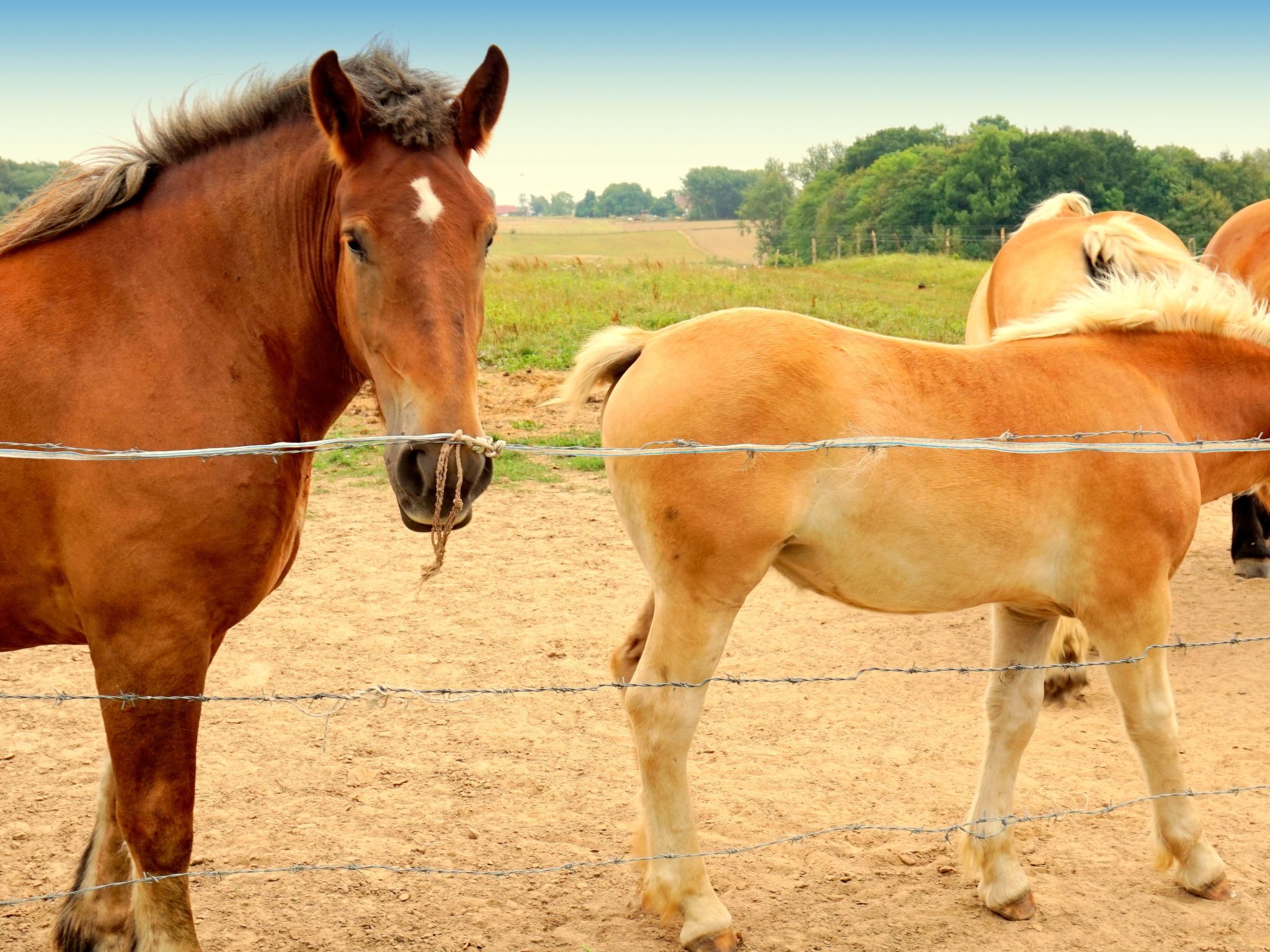 "Verano" mit Privatparkplatz-Binnen