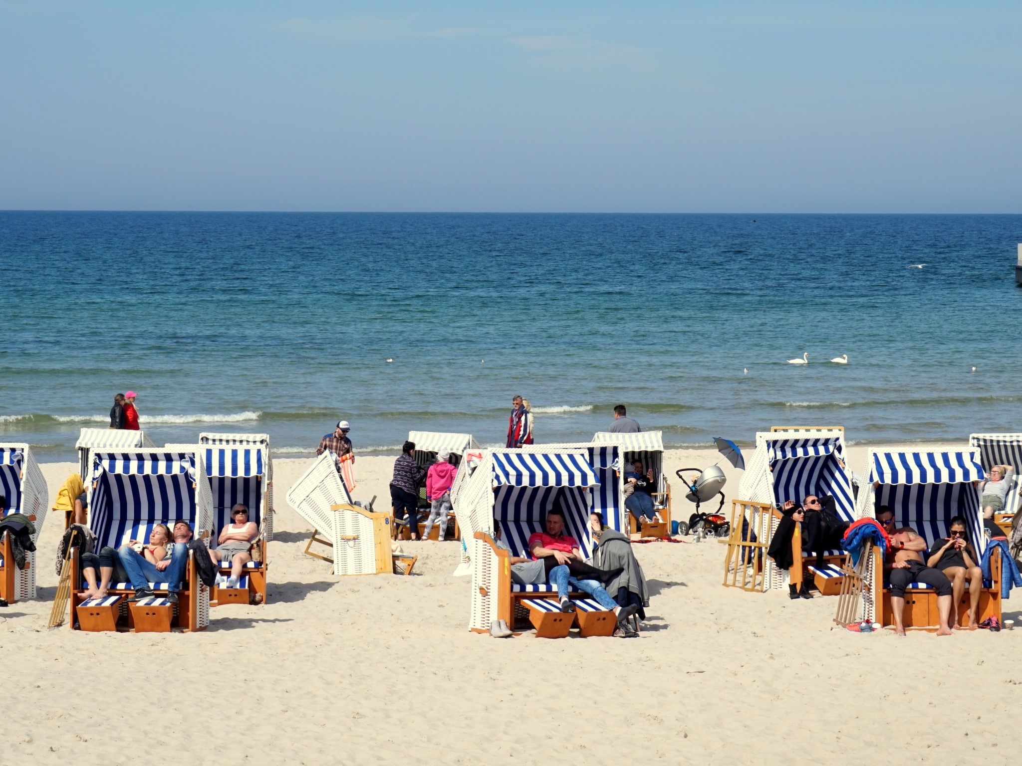 Appartement in Nowe Miasto mit Garten-Image-tags.info