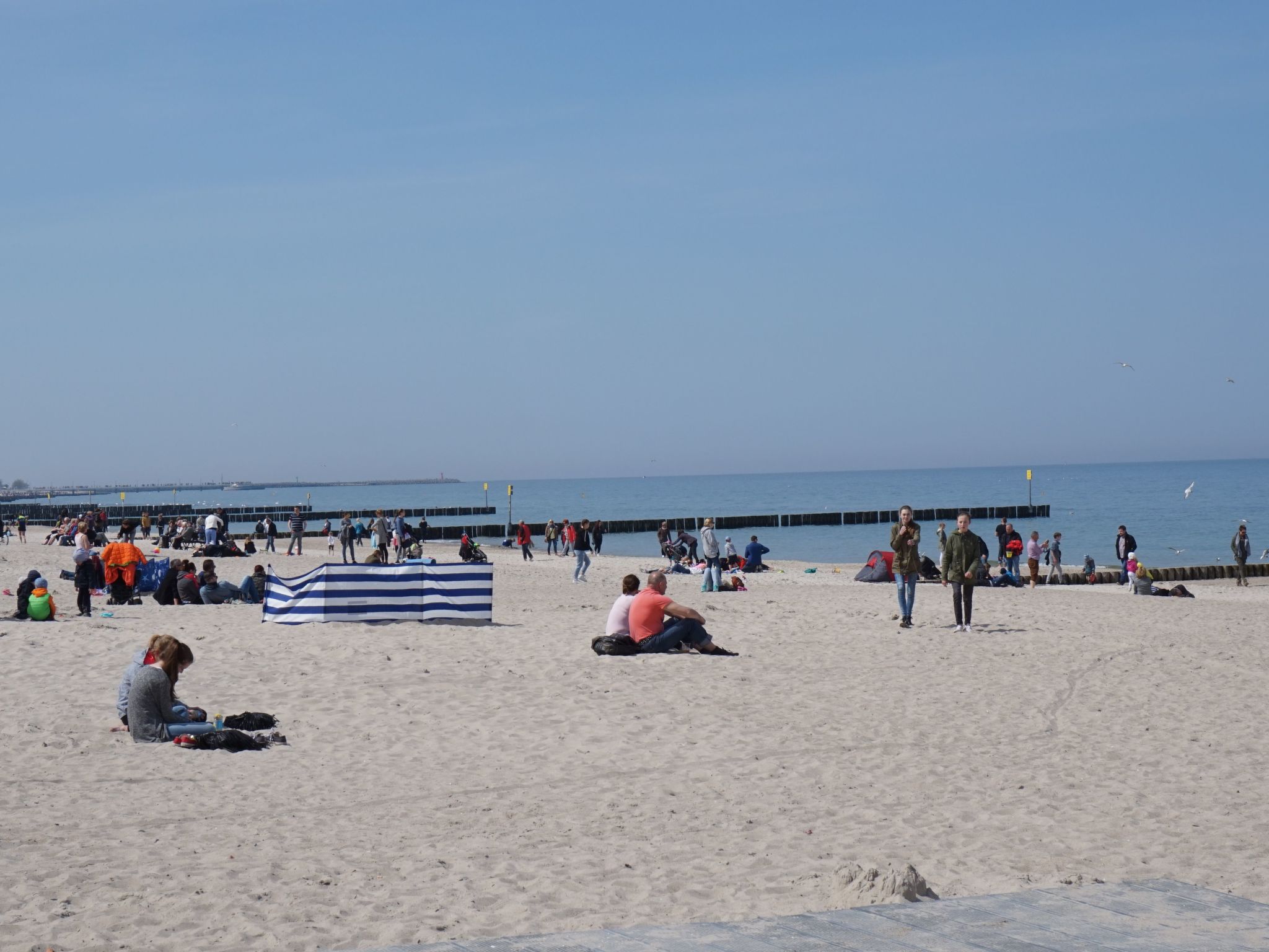 Appartement in Nowe Miasto mit Garten-Image-tags.info