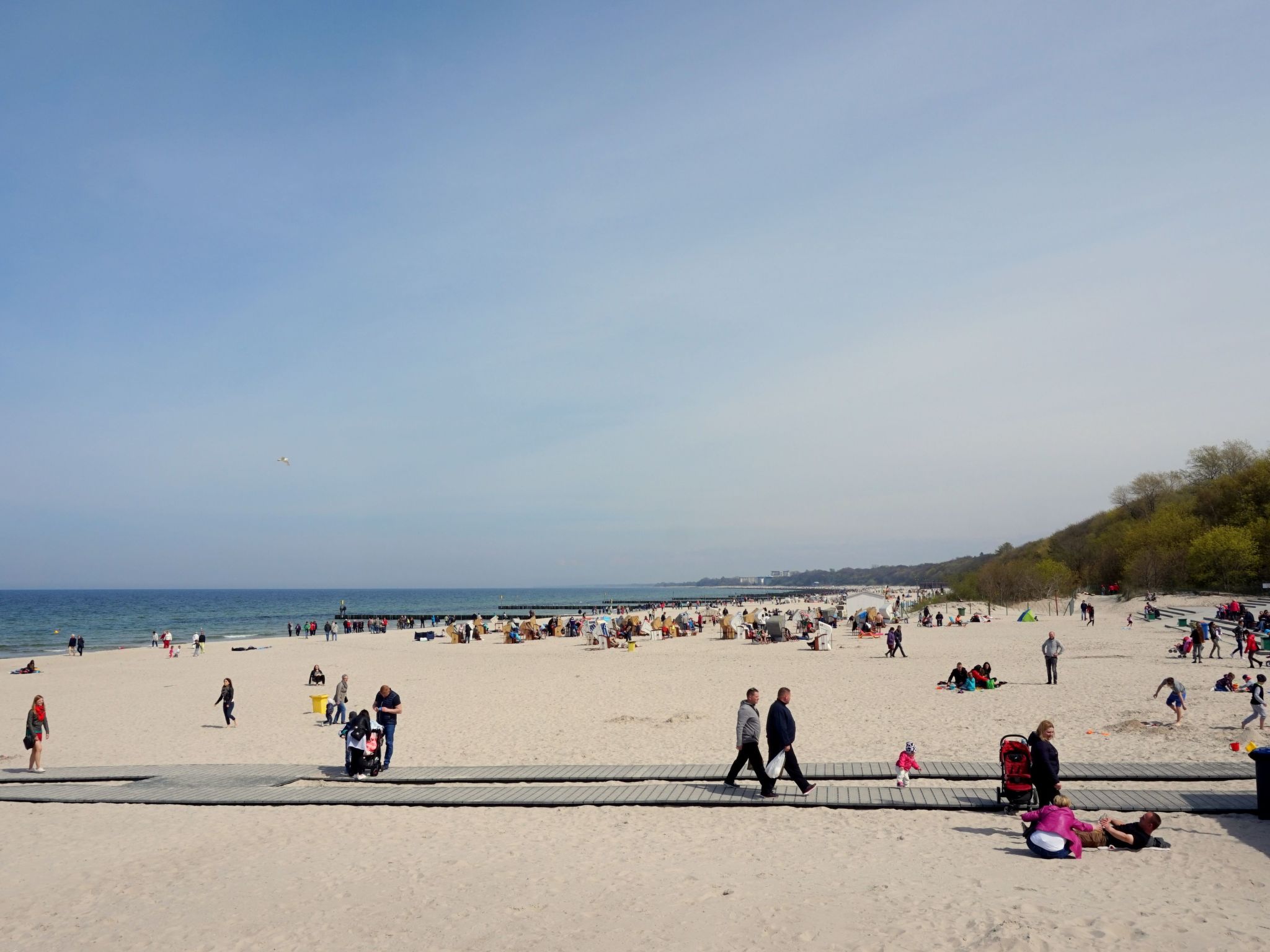 Appartement in Nowe Miasto mit Garten-Image-tags.info