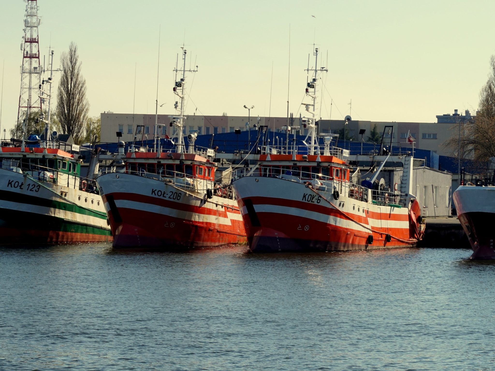 Appartement in Nowe Miasto mit Garten-Image-tags.info