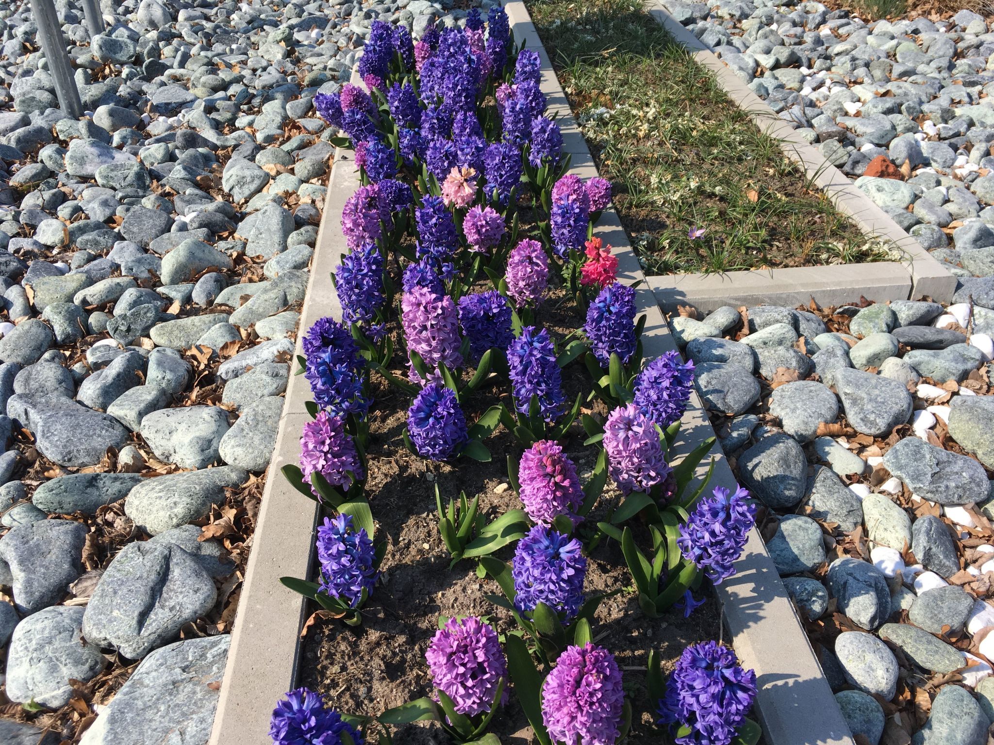 "Näher am Meer" Wohnung mit Dachterrasse-Buiten