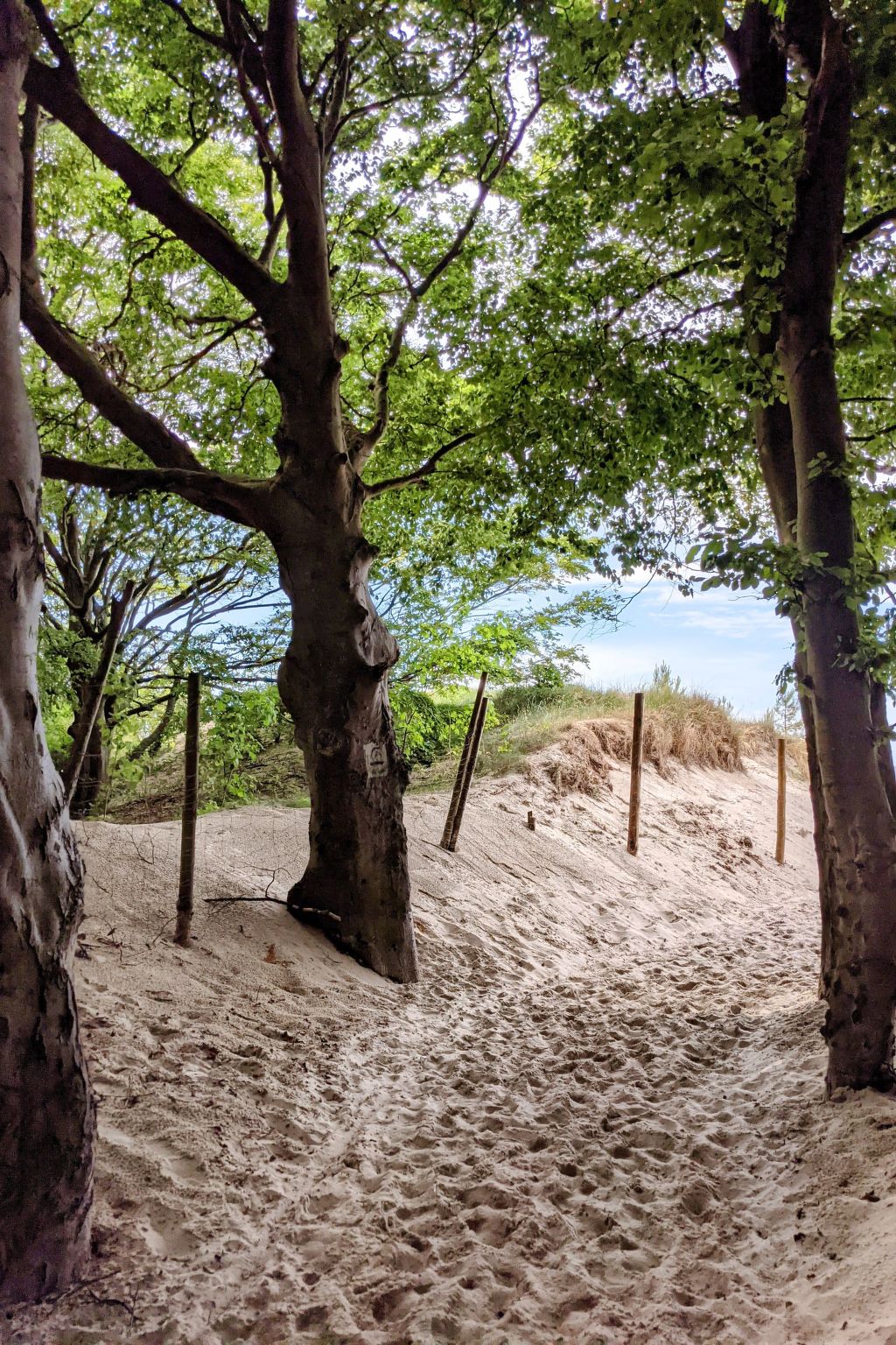 Sunset Resort, Wohnung in Grzybów-Binnen