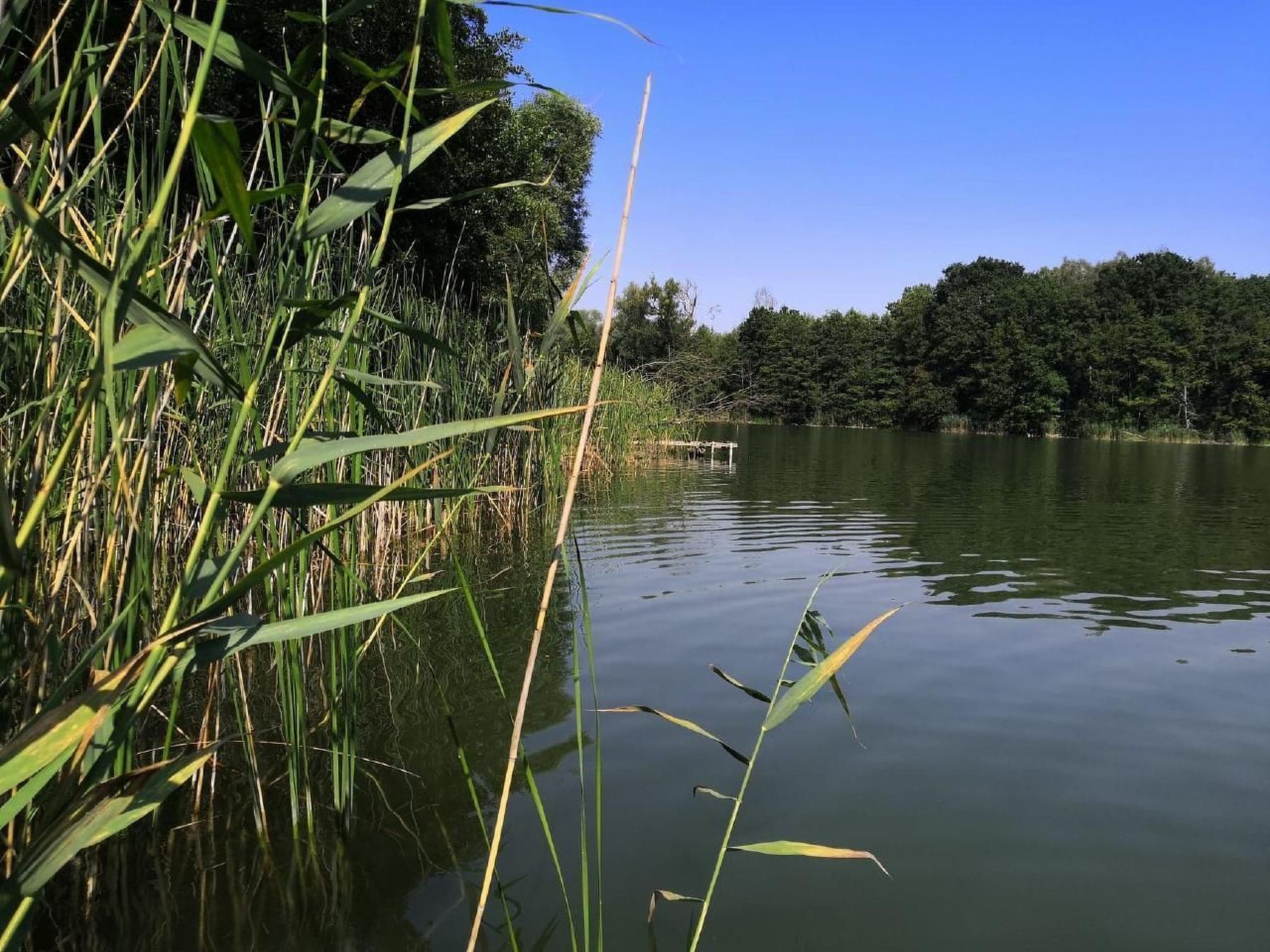 "Ferienhaus GolczaVita"-Image-tags.info