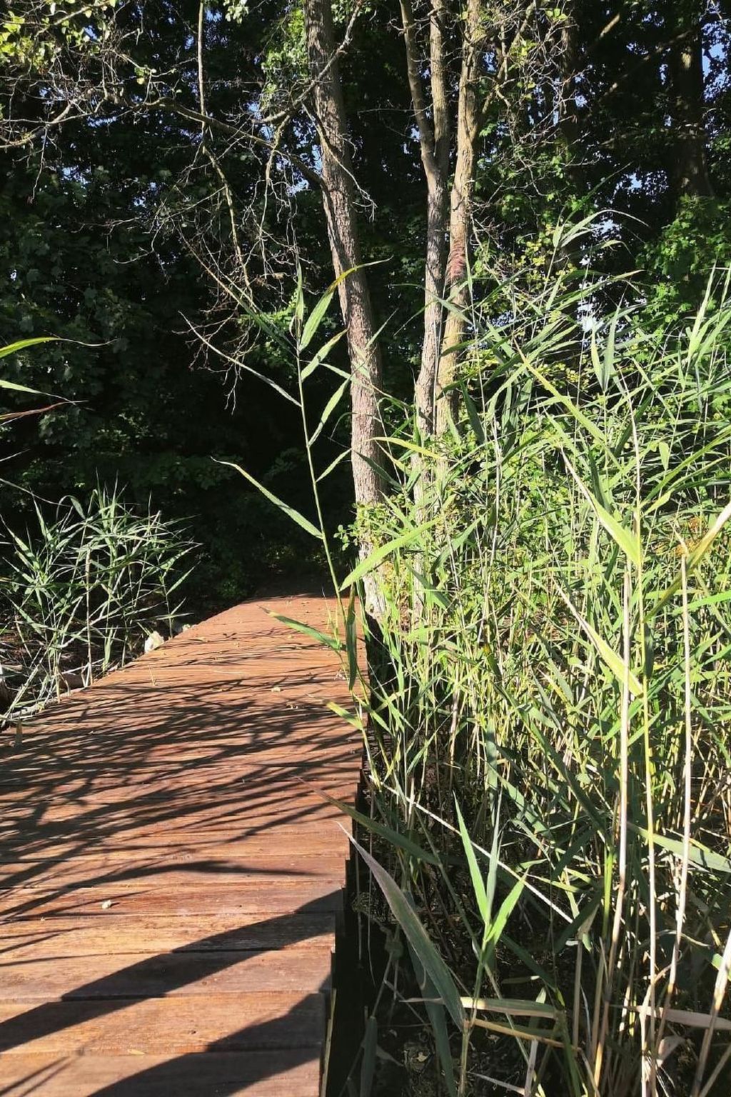 "Ferienhaus GolczaVita"-Image-tags.info