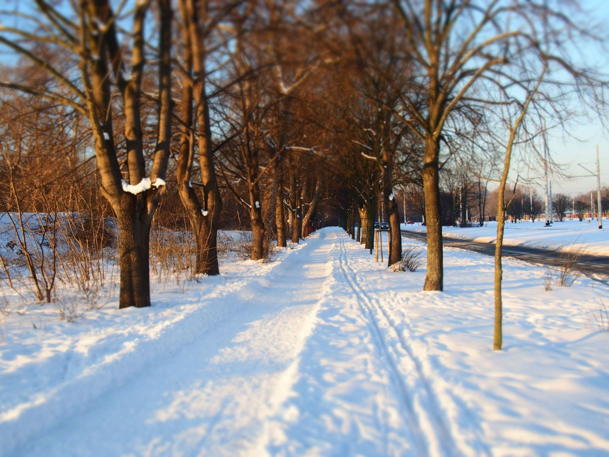 Wohnung in Brzeźno mit Großem Garten-Buiten