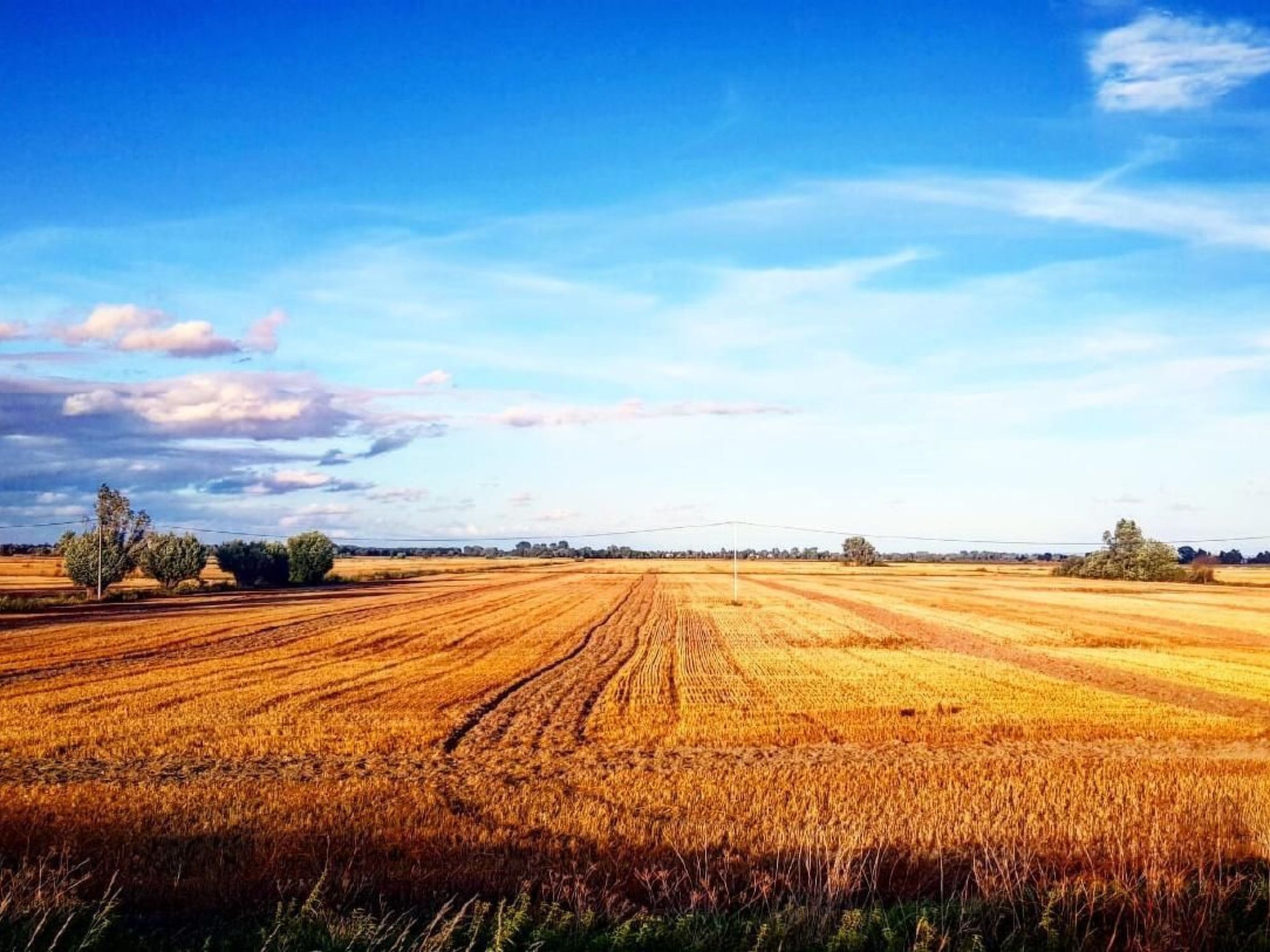 "Green Eco Cottage6"-Buiten