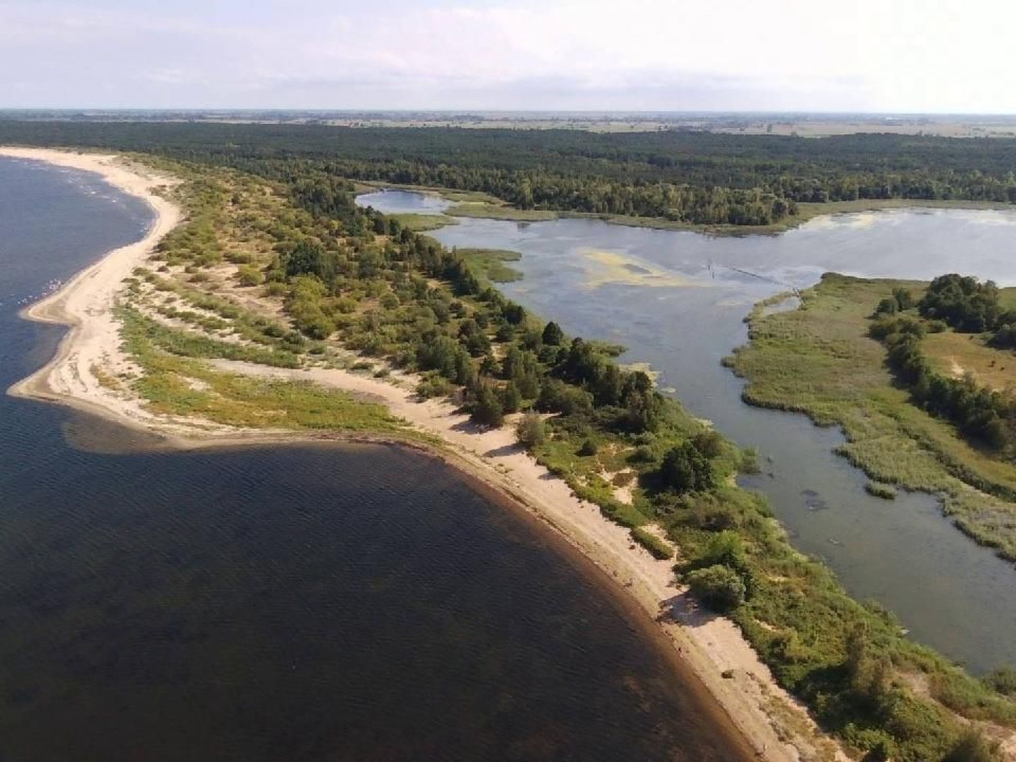 "Green Eco Cottage6"-Buiten