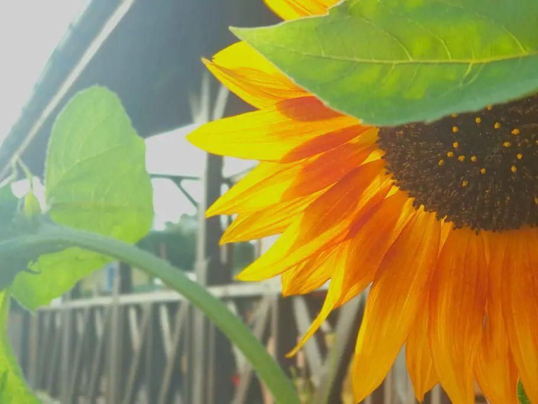 "Eko Domek" mit eigener Terrasse-Image-tags.info