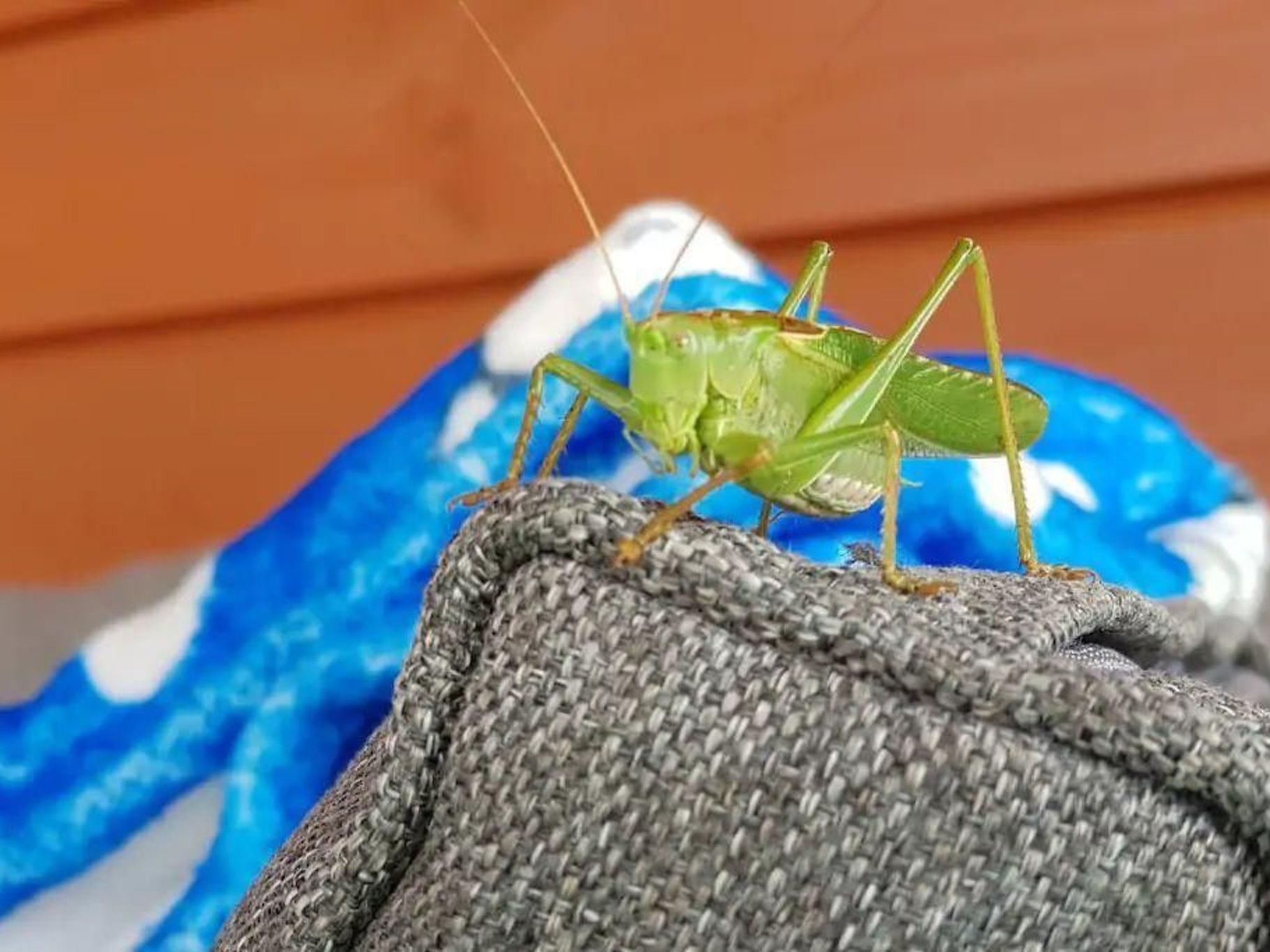 "Eko Domek" mit eigener Terrasse-Image-tags.info