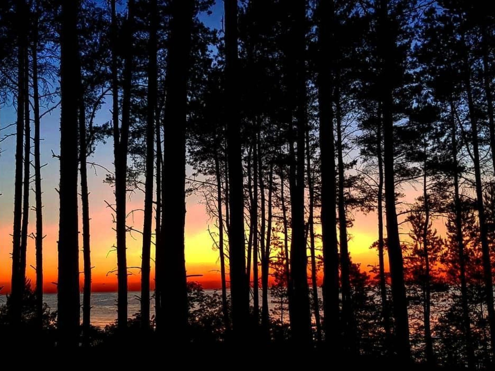 "Eko Domek" mit eigener Terrasse-Image-tags.info