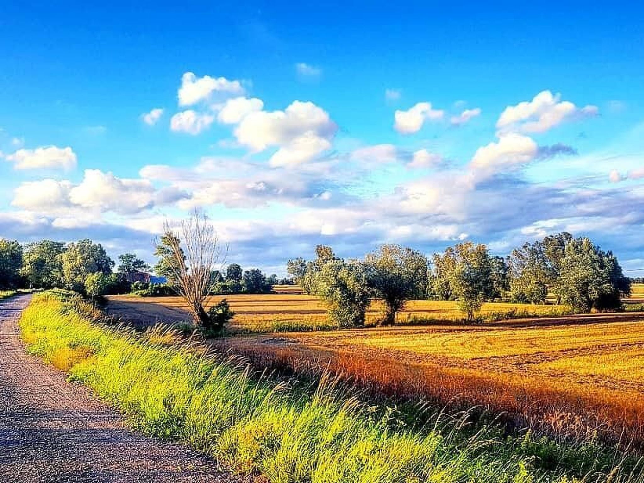 "Eko Domek" mit eigener Terrasse-Buiten