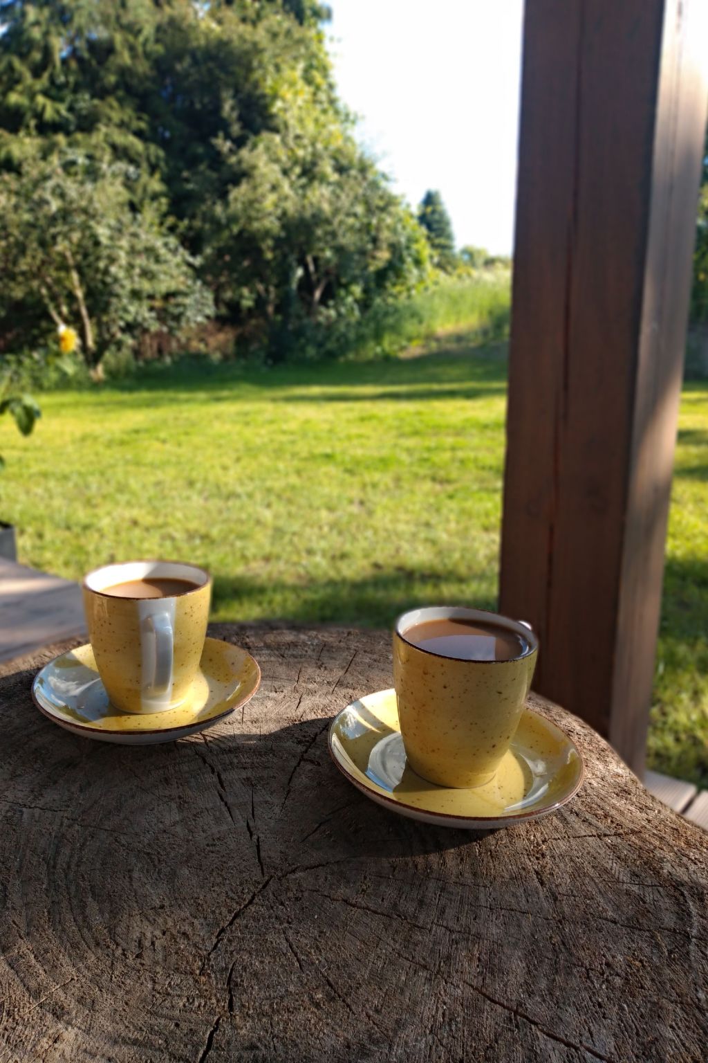 Holzhäuschen in der Kaschubei-Buiten