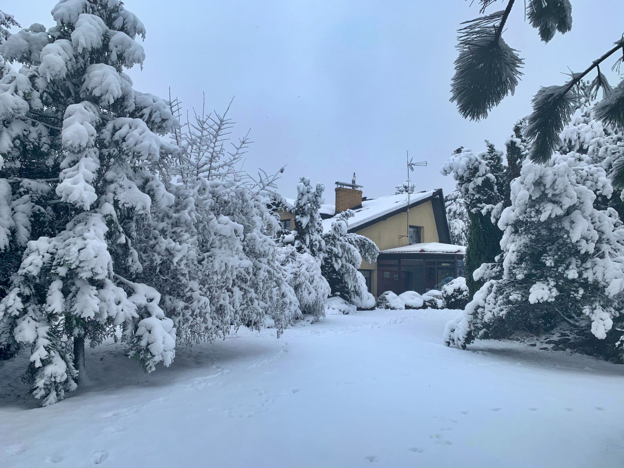 Ferienvilla mit Garten, Grill und Terrasse-Buiten
