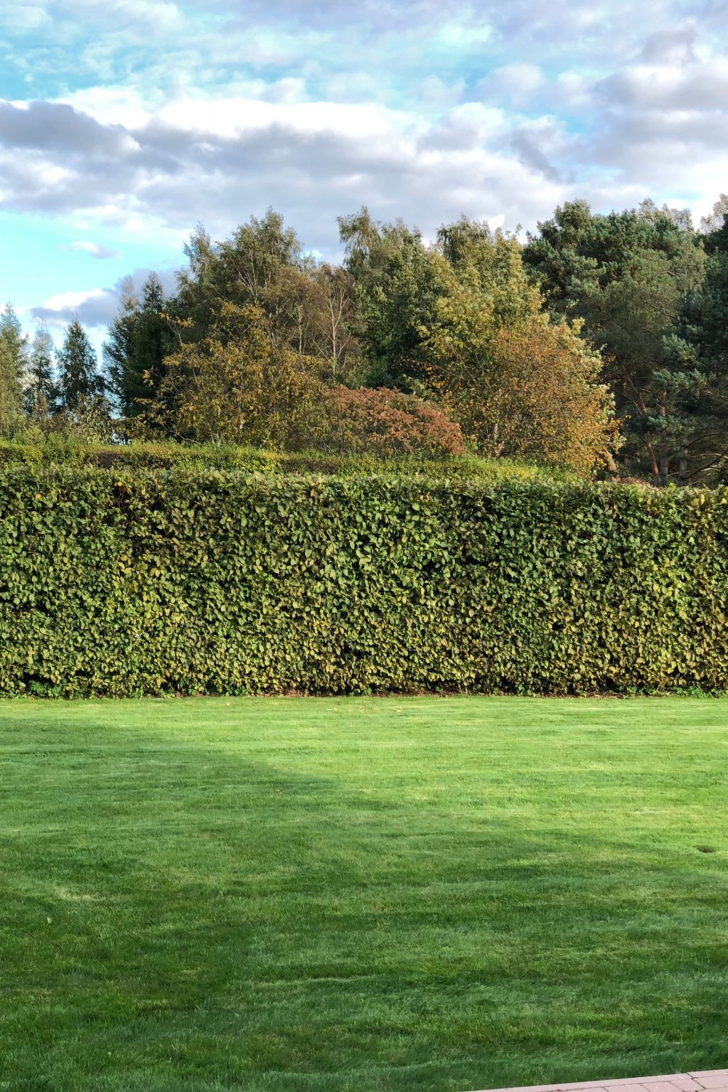 Mit Schwimmbad-Binnen