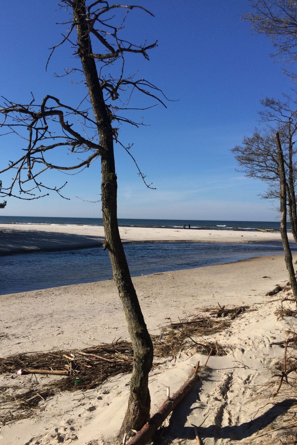 Mit Schwimmbad-Binnen
