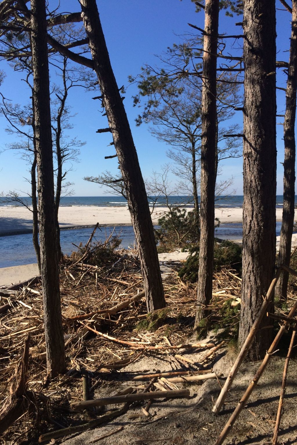 Mit Schwimmbad-Binnen