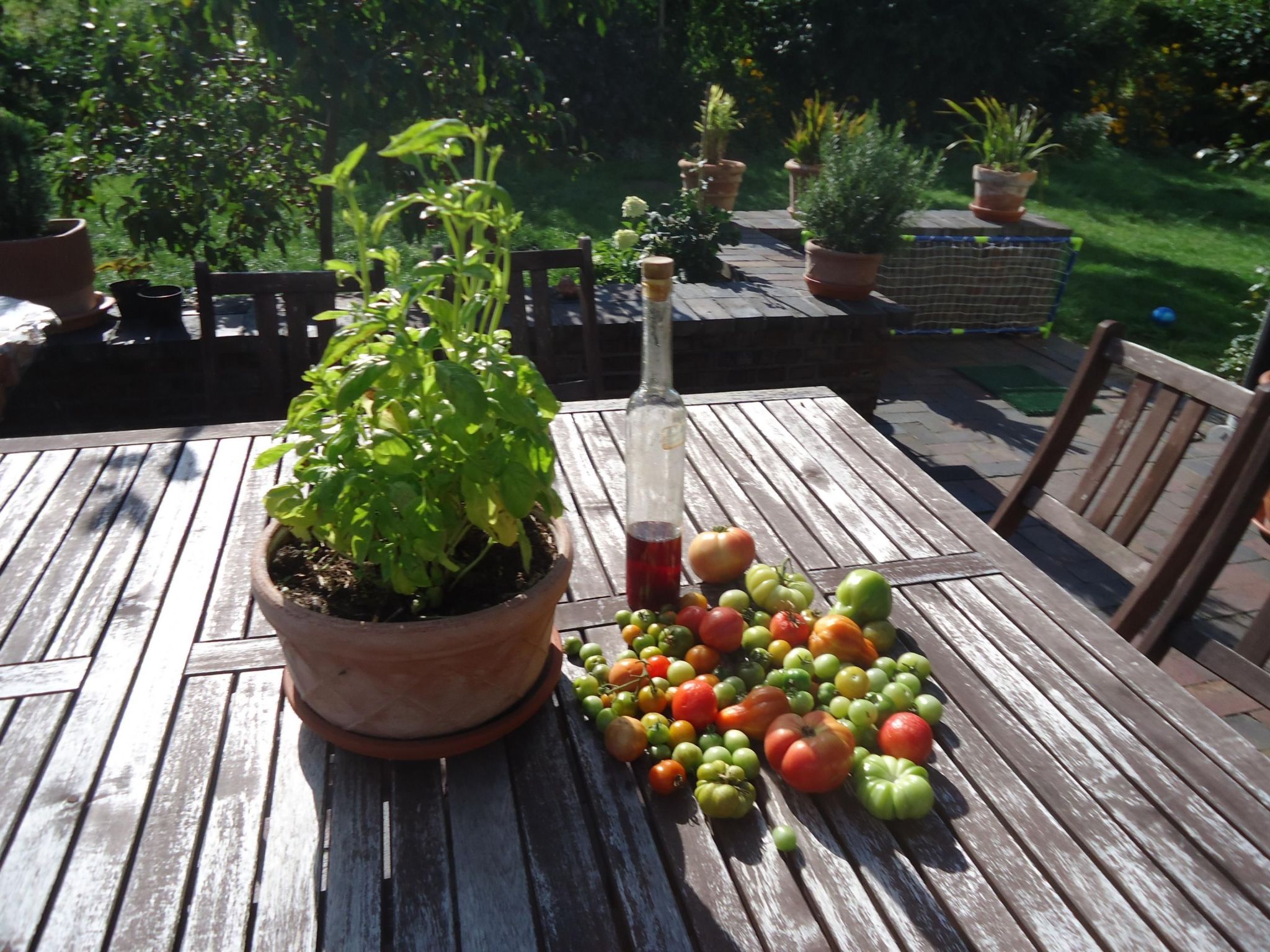 Ferienhaus in Przyjazn (Polen) und 1 Hund erlaubt