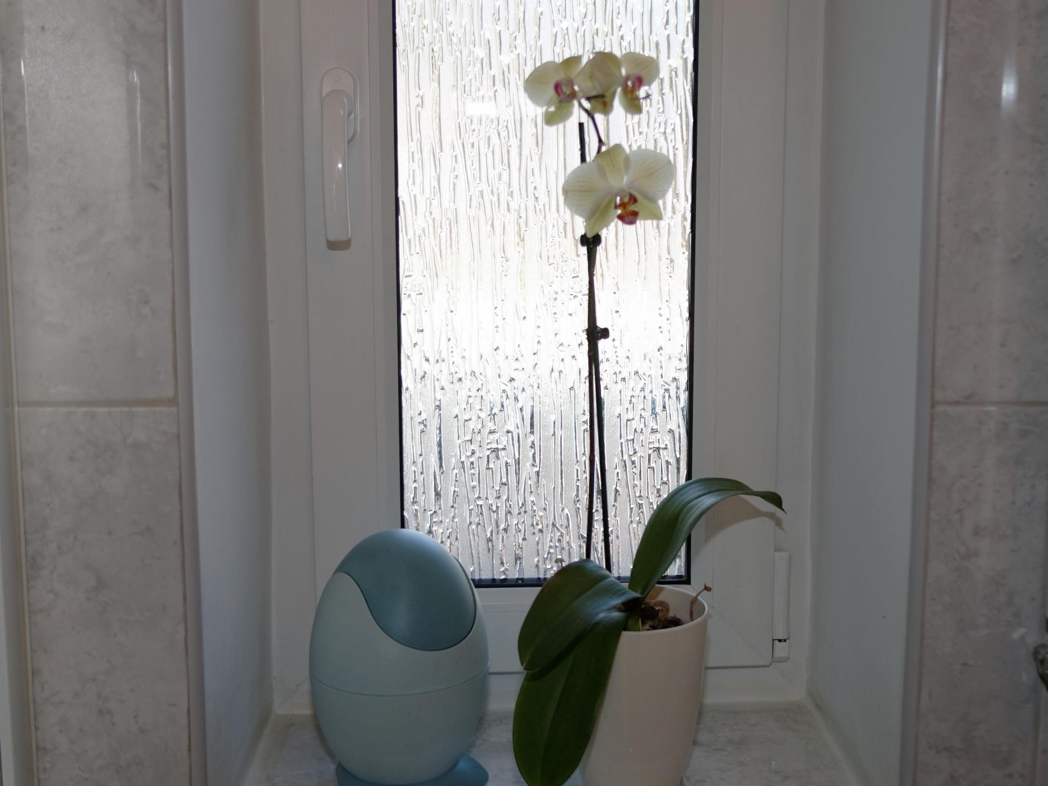 In ruhiger Lage am Waldrand-Binnen