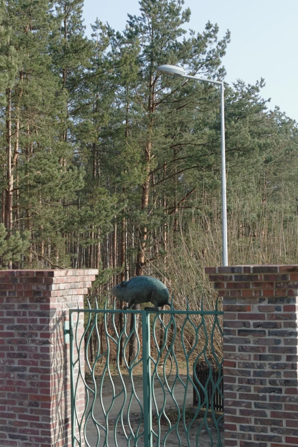 In ruhiger Lage am Waldrand-Binnen