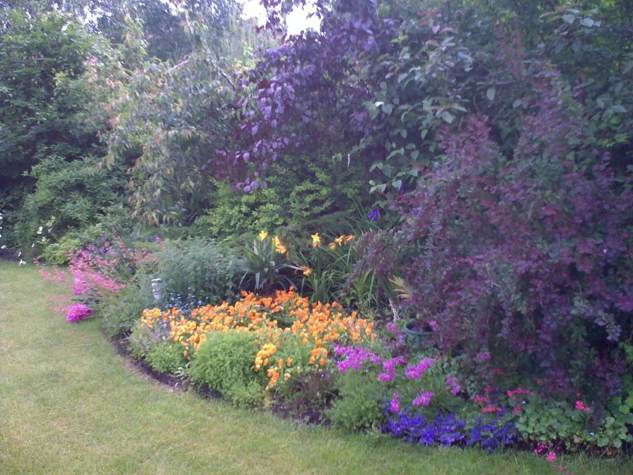 In ruhiger Lage am Waldrand-Binnen