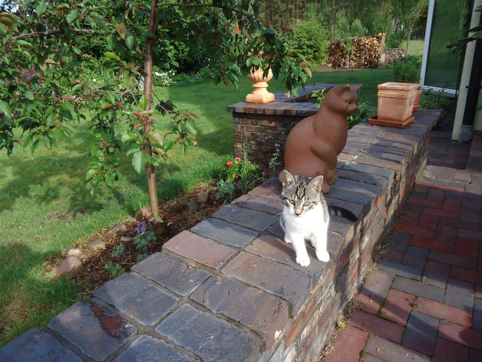 In ruhiger Lage am Waldrand-Binnen