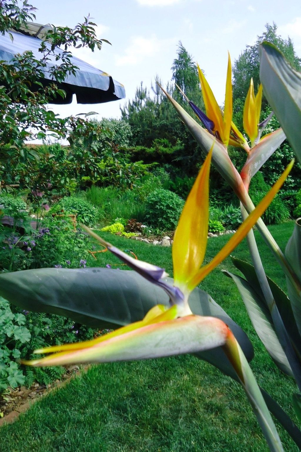 In ruhiger Lage am Waldrand-Binnen