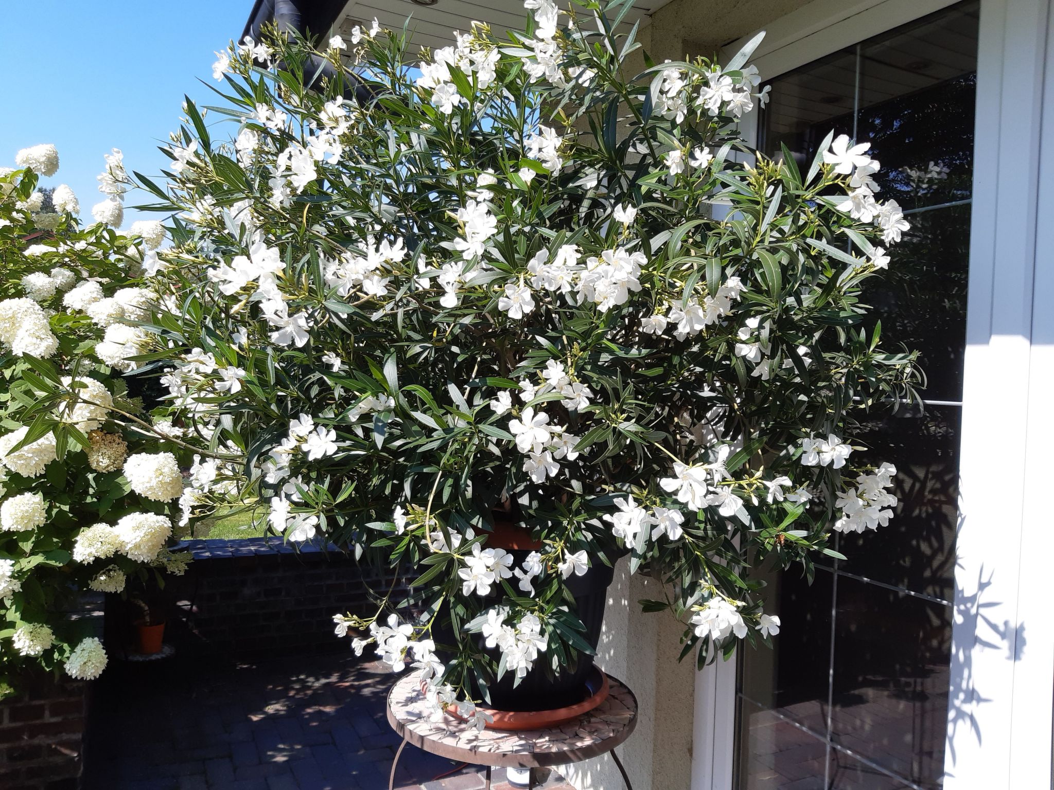 In ruhiger Lage am Waldrand-Binnen