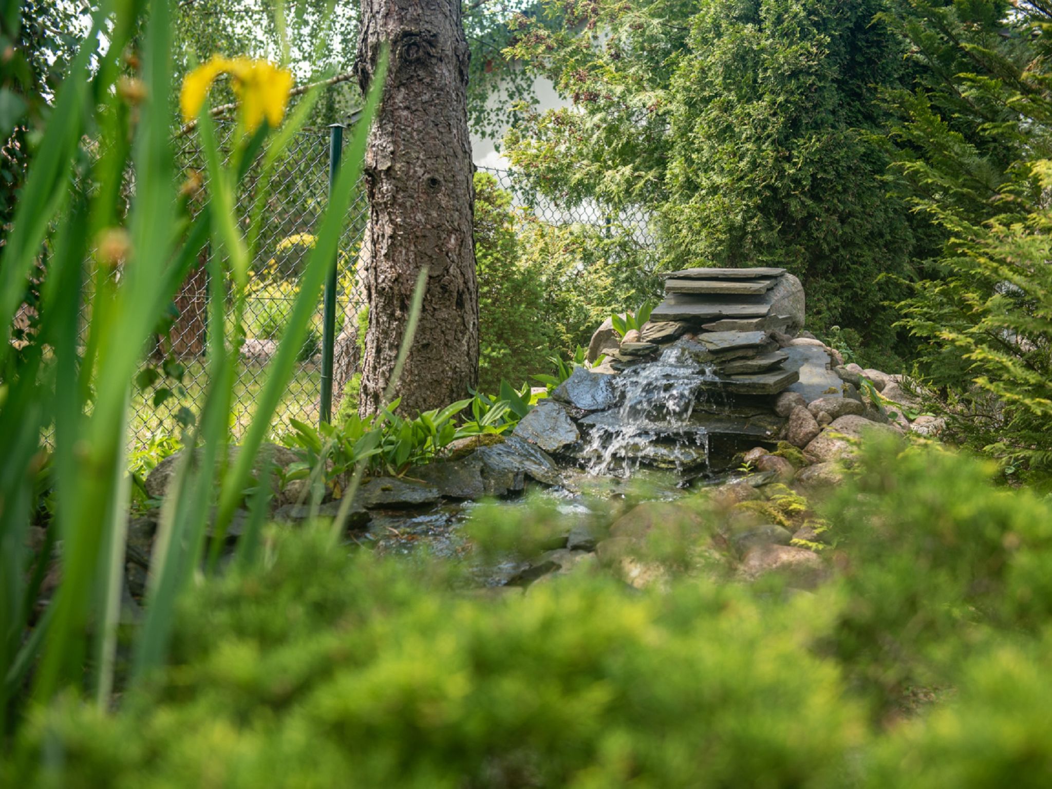 Maison Villa Bieszkowice – Environs, photo 32 sur 46