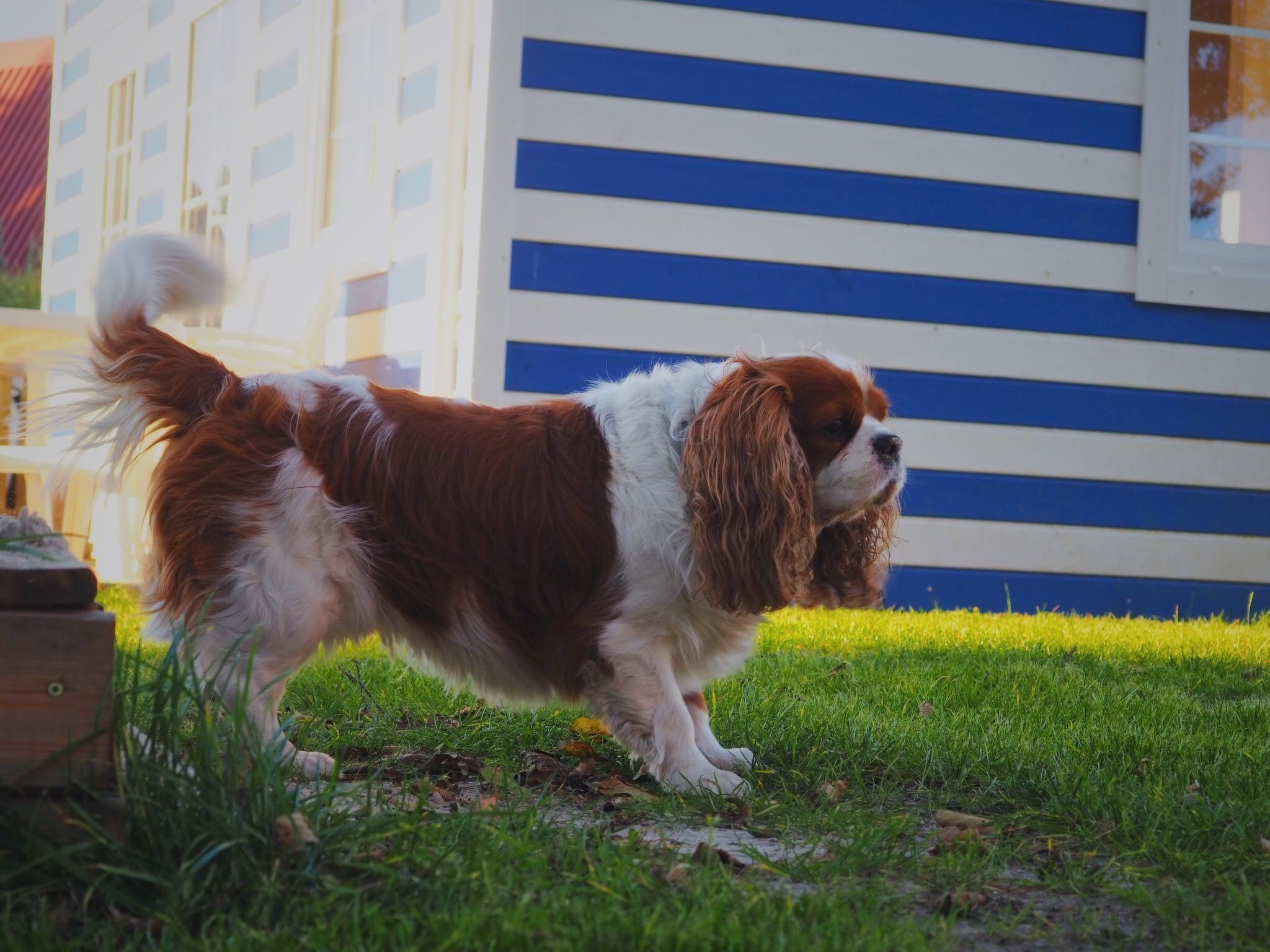 Haus in einer ruhigen Straße, in der Nähe des Waldes und des Meeres-Outside