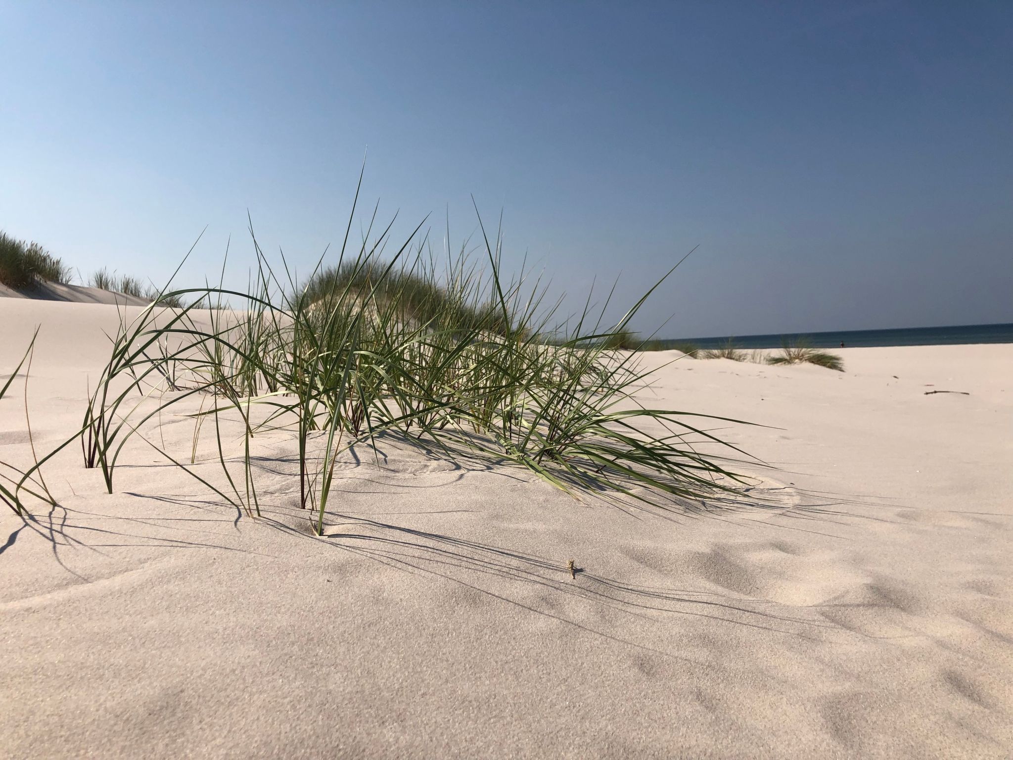 Haus in einer ruhigen Straße, in der Nähe des Waldes und des Meeres-Outside