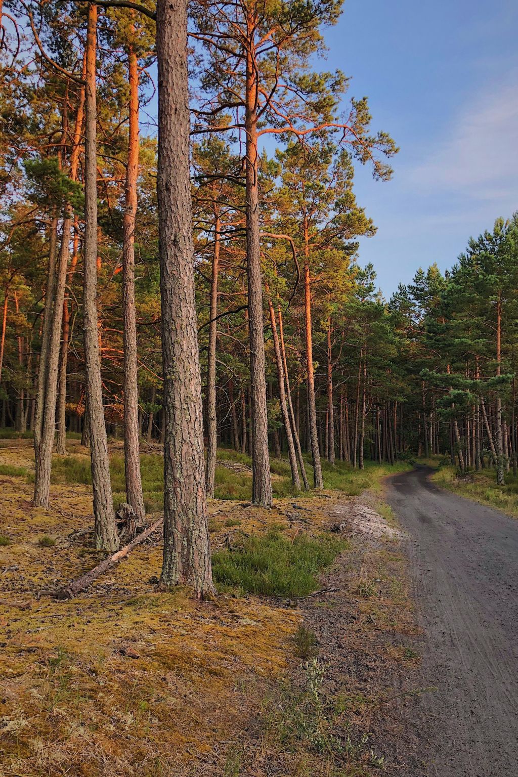 Haus in einer ruhigen Straße, in der Nähe des Waldes und des Meeres-Image-tags.info