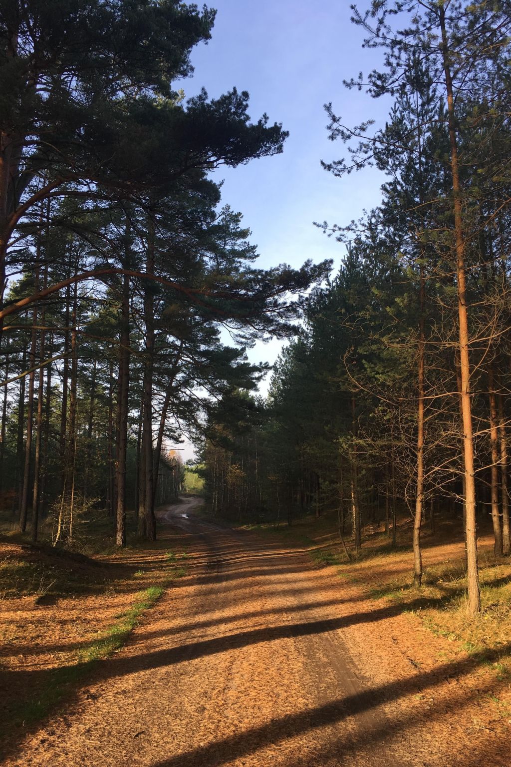 Haus in einer ruhigen Straße, in der Nähe des Waldes und des Meeres-Outside