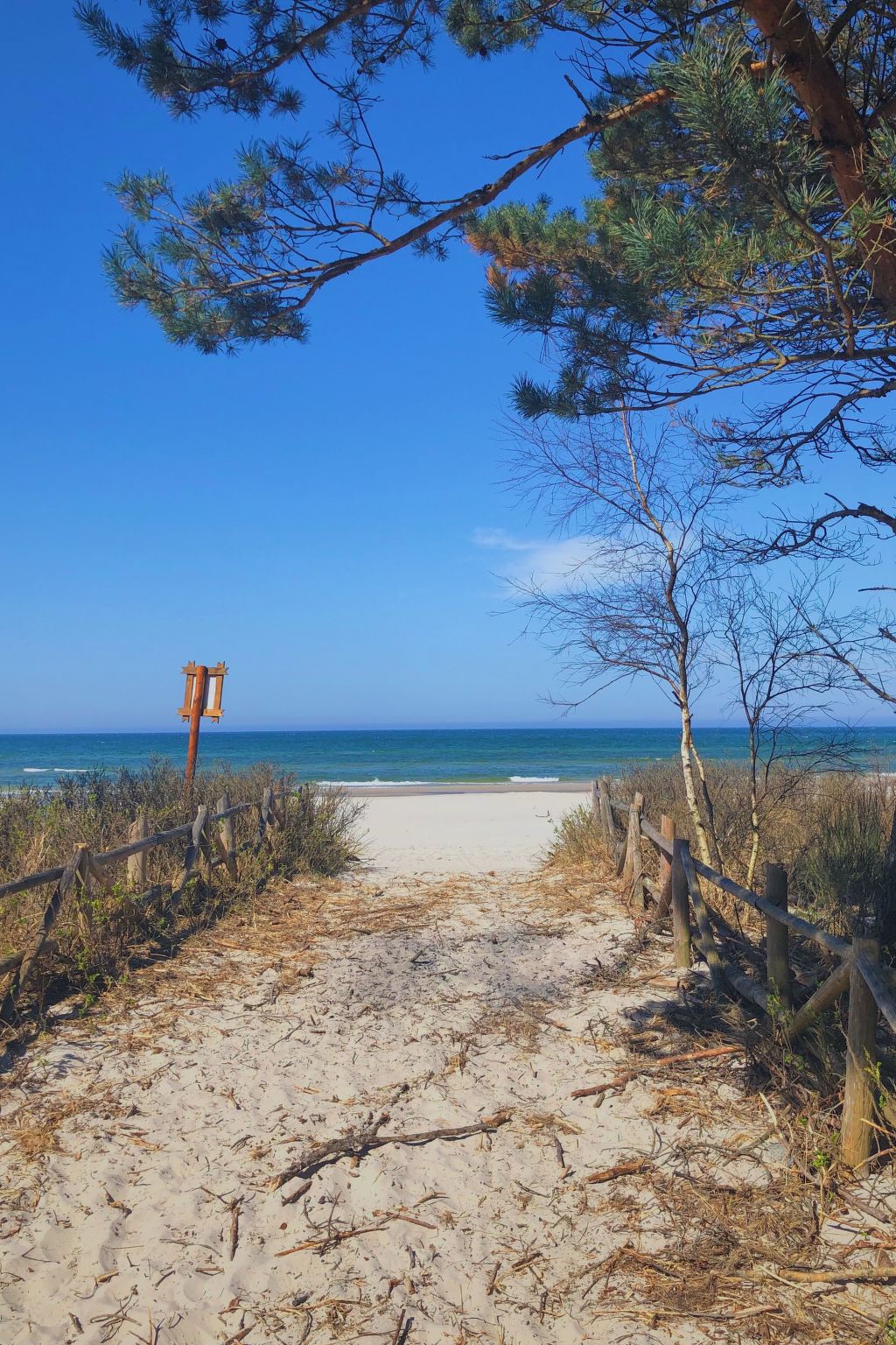 Haus in einer ruhigen Straße, in der Nähe des Waldes und des Meeres-Outside