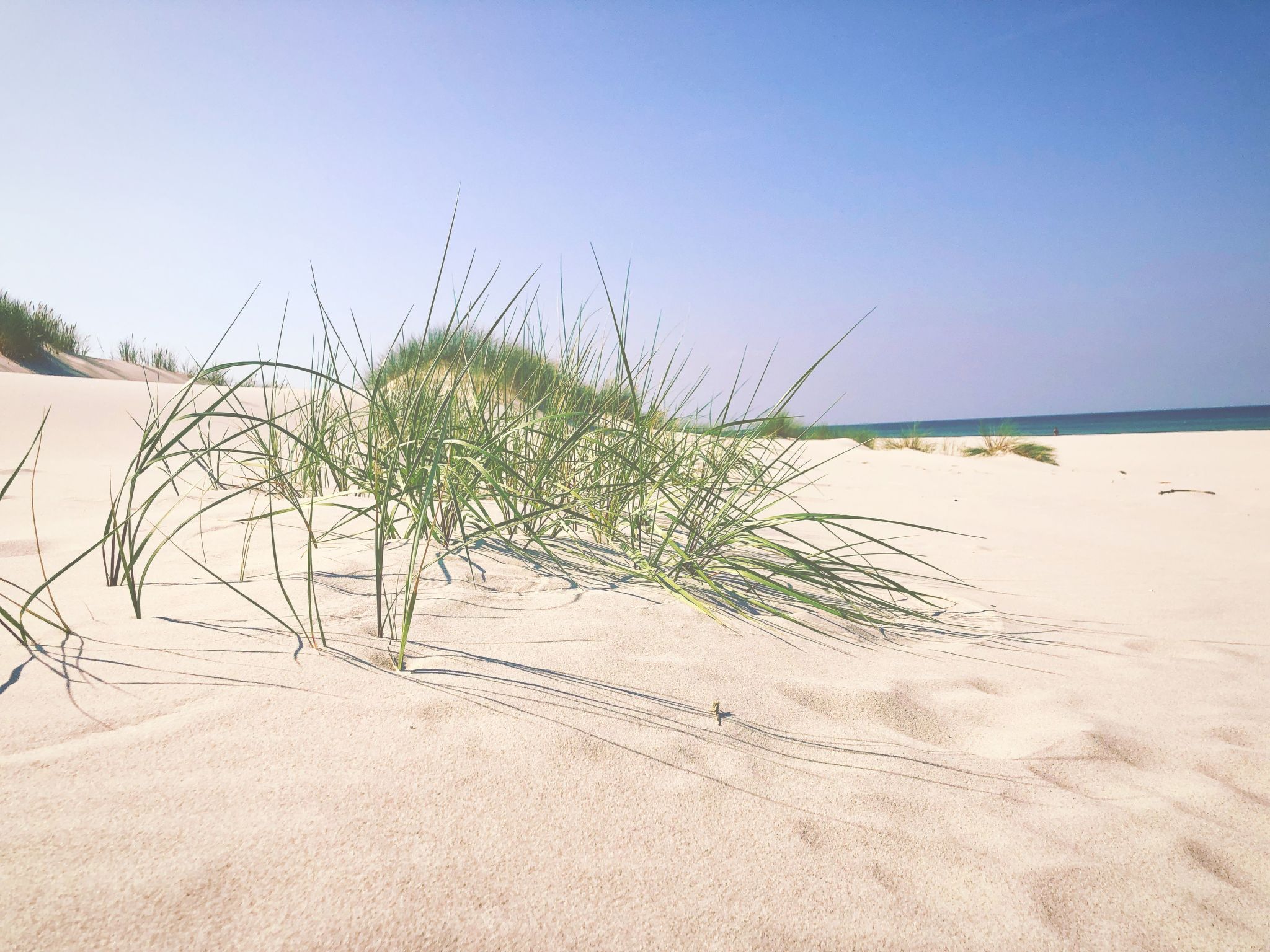 Schönes, ruhiges Haus in der Nähe des Waldes und des Meeres-Dehors