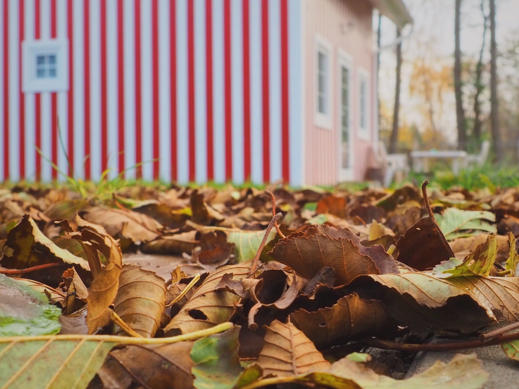 Schönes, ruhiges Haus in der Nähe des Waldes und des Meeres-Image-tags.info