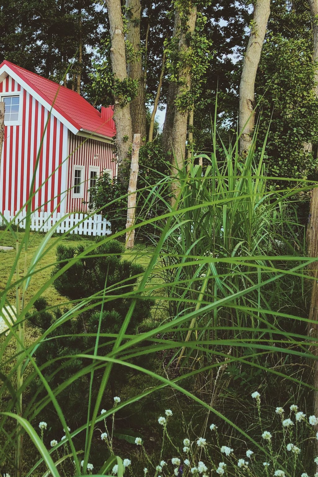 Schönes, ruhiges Haus in der Nähe des Waldes und des Meeres-Dehors