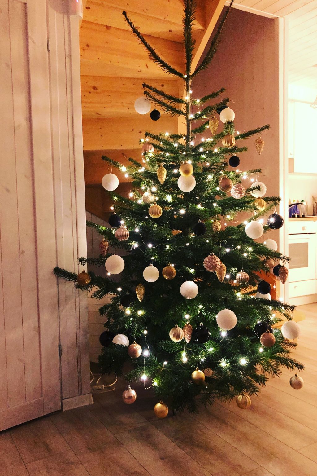 Schönes, ruhiges Haus in der Nähe des Waldes und des Meeres-Dedans