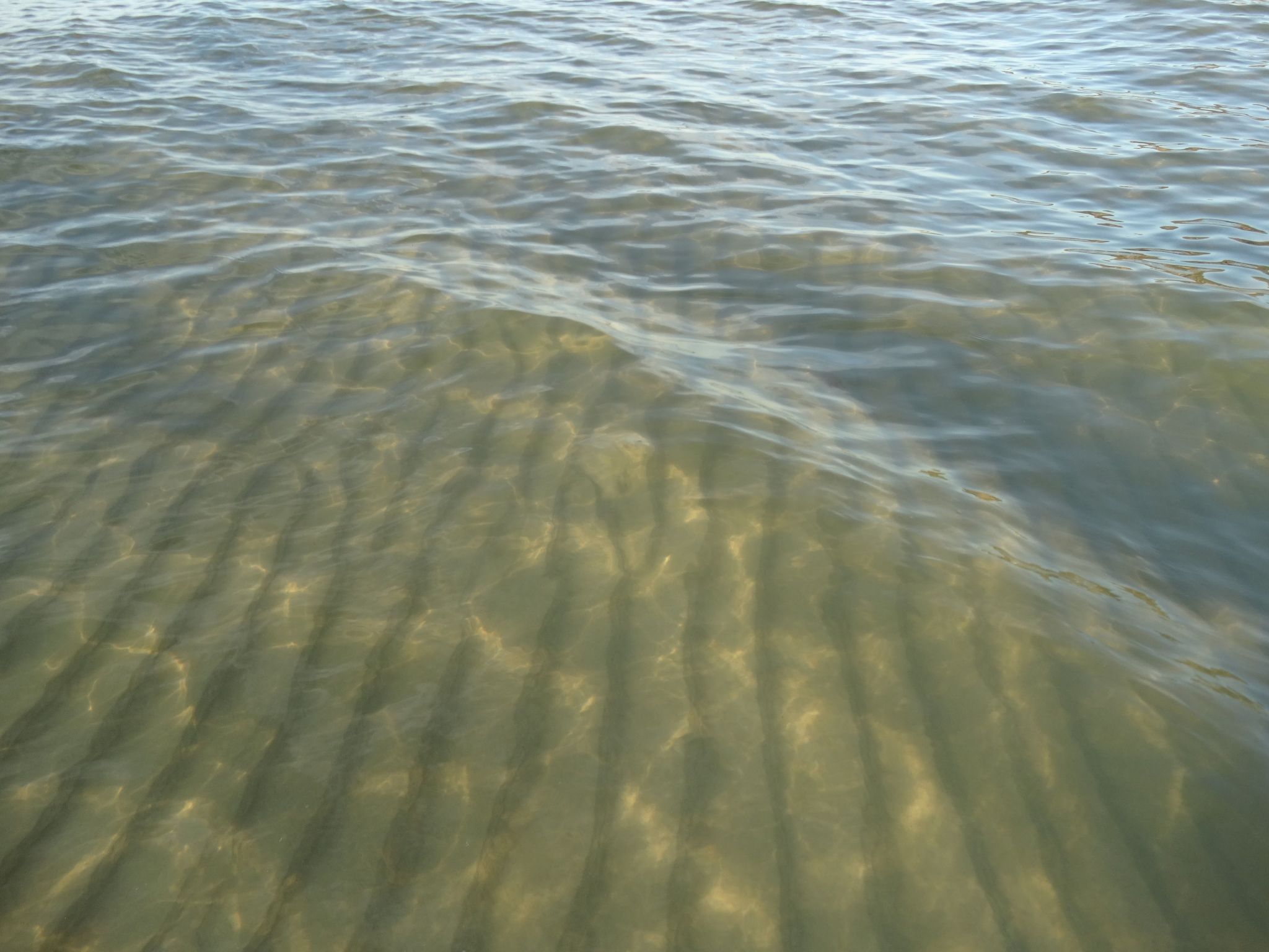 Holzhaus Juhas-Binnen