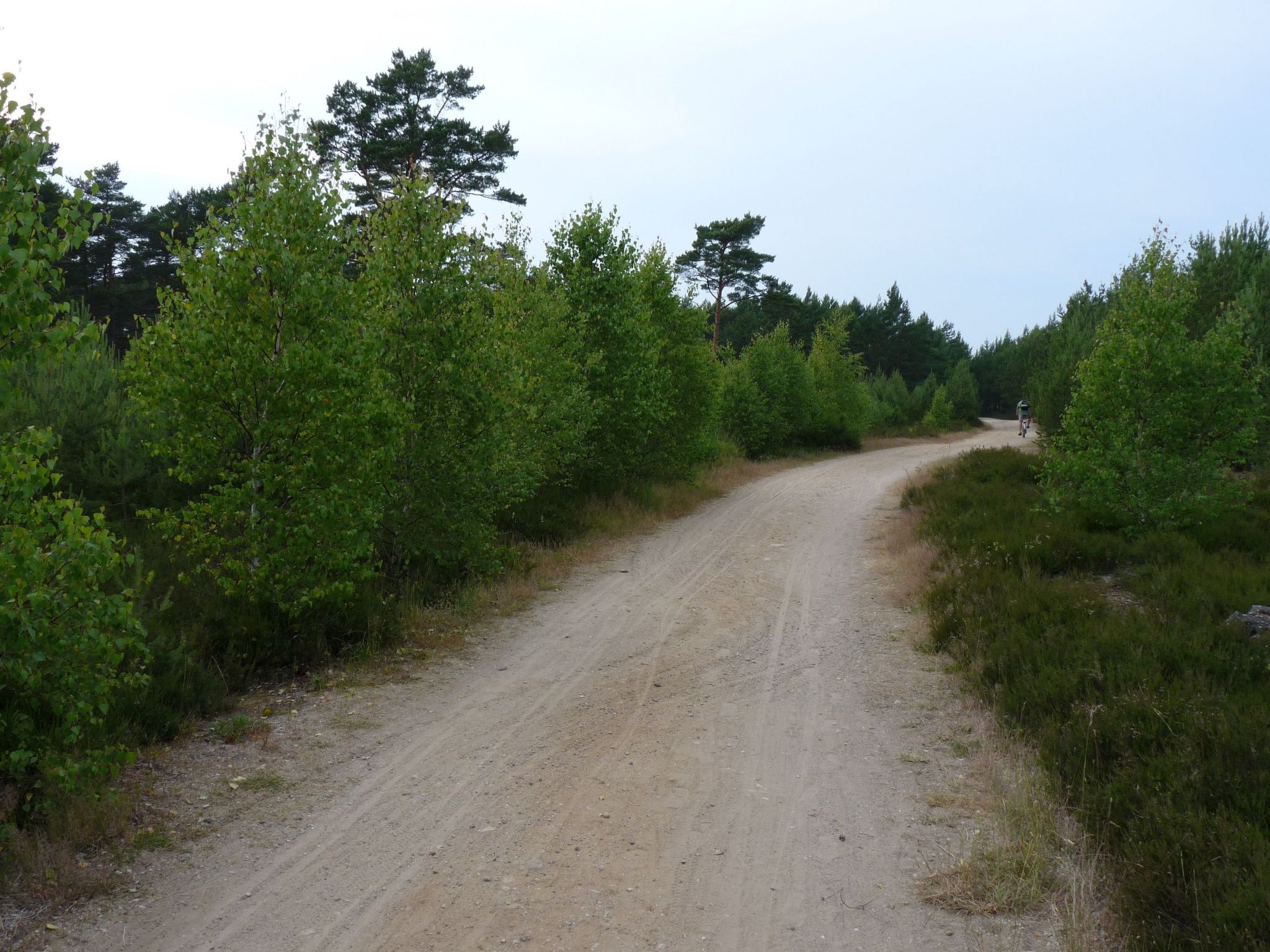 Wohnung 4 "Ferienhaus Wave"-Binnen