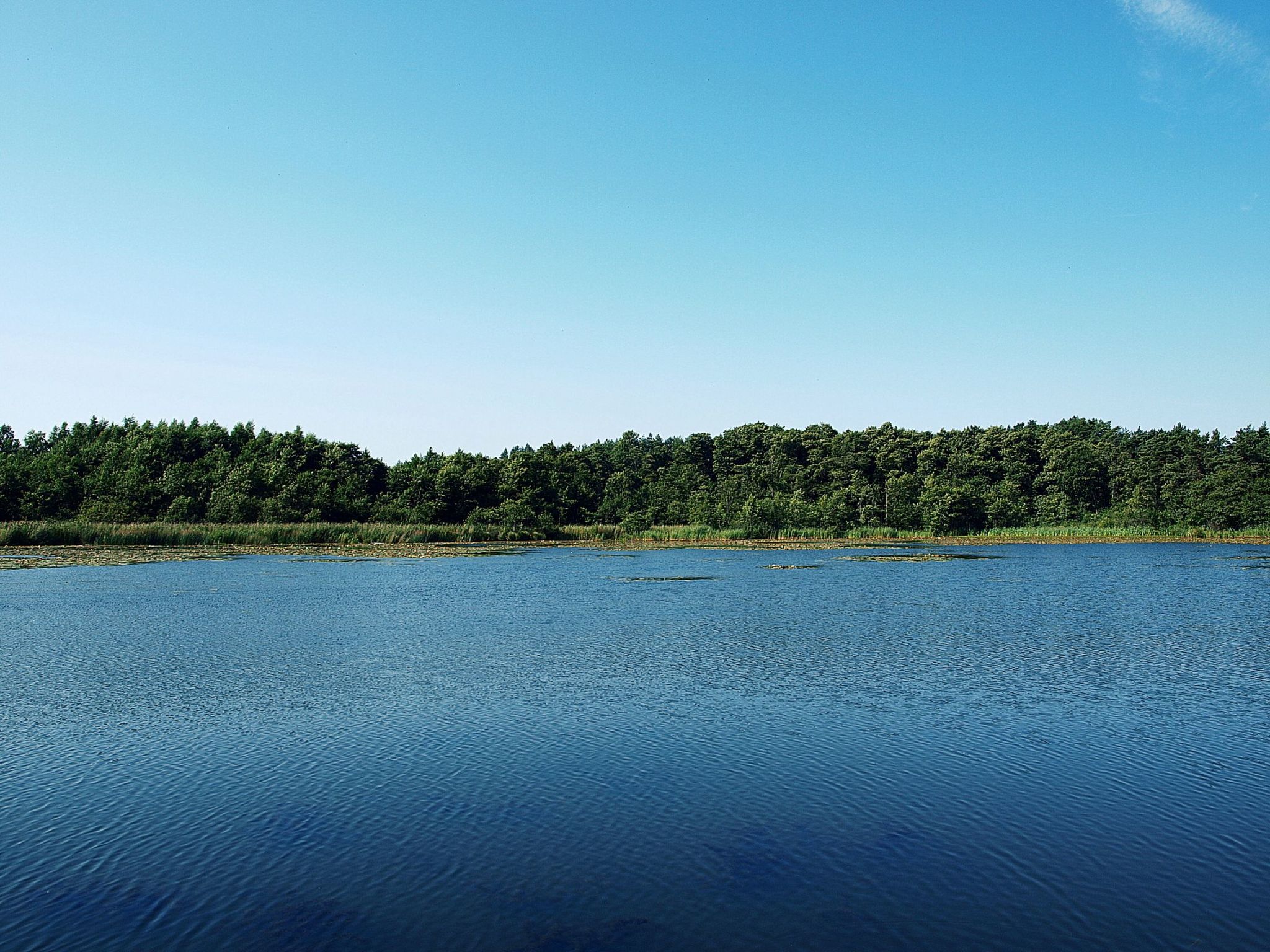 Wohnung 4 "Ferienhaus Wave"-Binnen