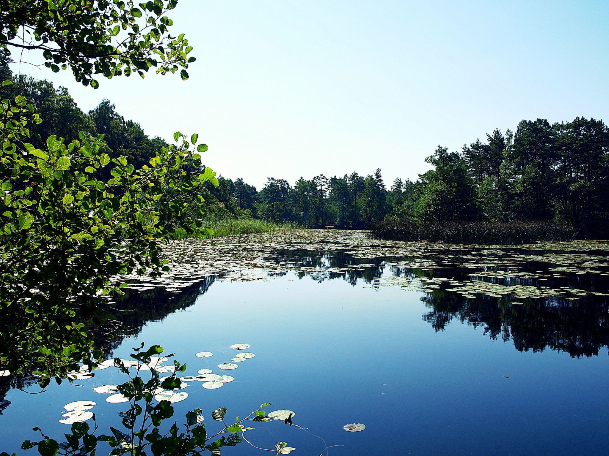 Wohnung 4 "Ferienhaus Wave"-Binnen
