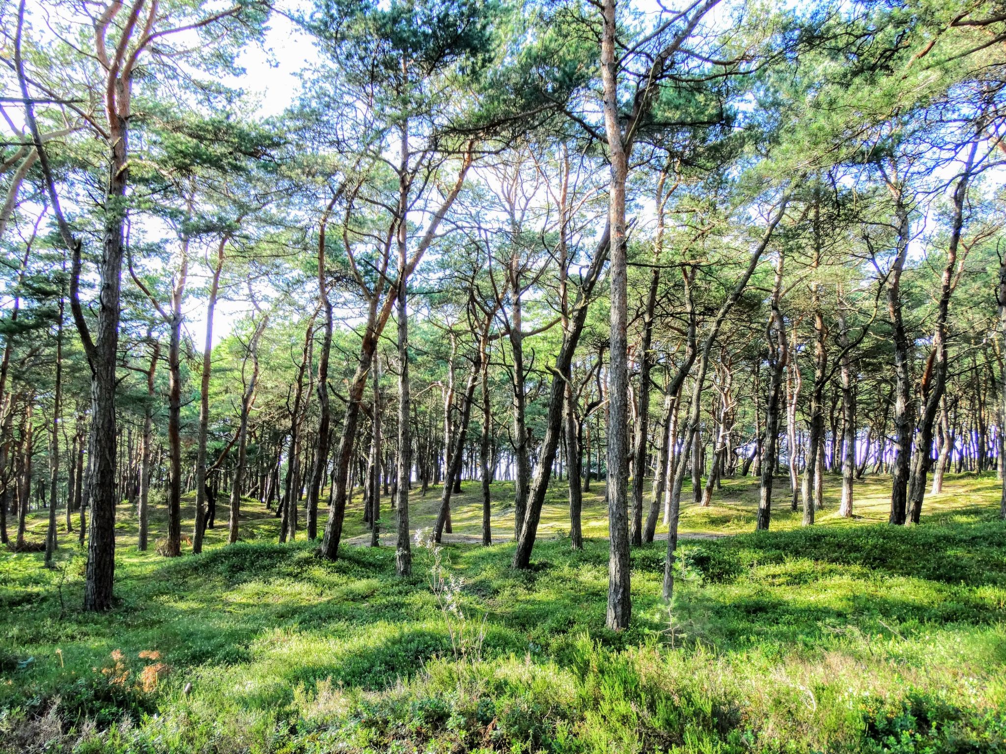 Wohnung 4 "Ferienhaus Wave"-Binnen