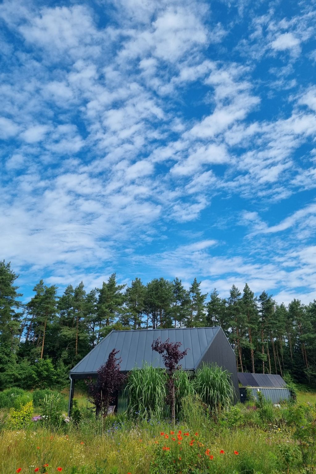 Lublewo21 Ferienhäuser - Draußen