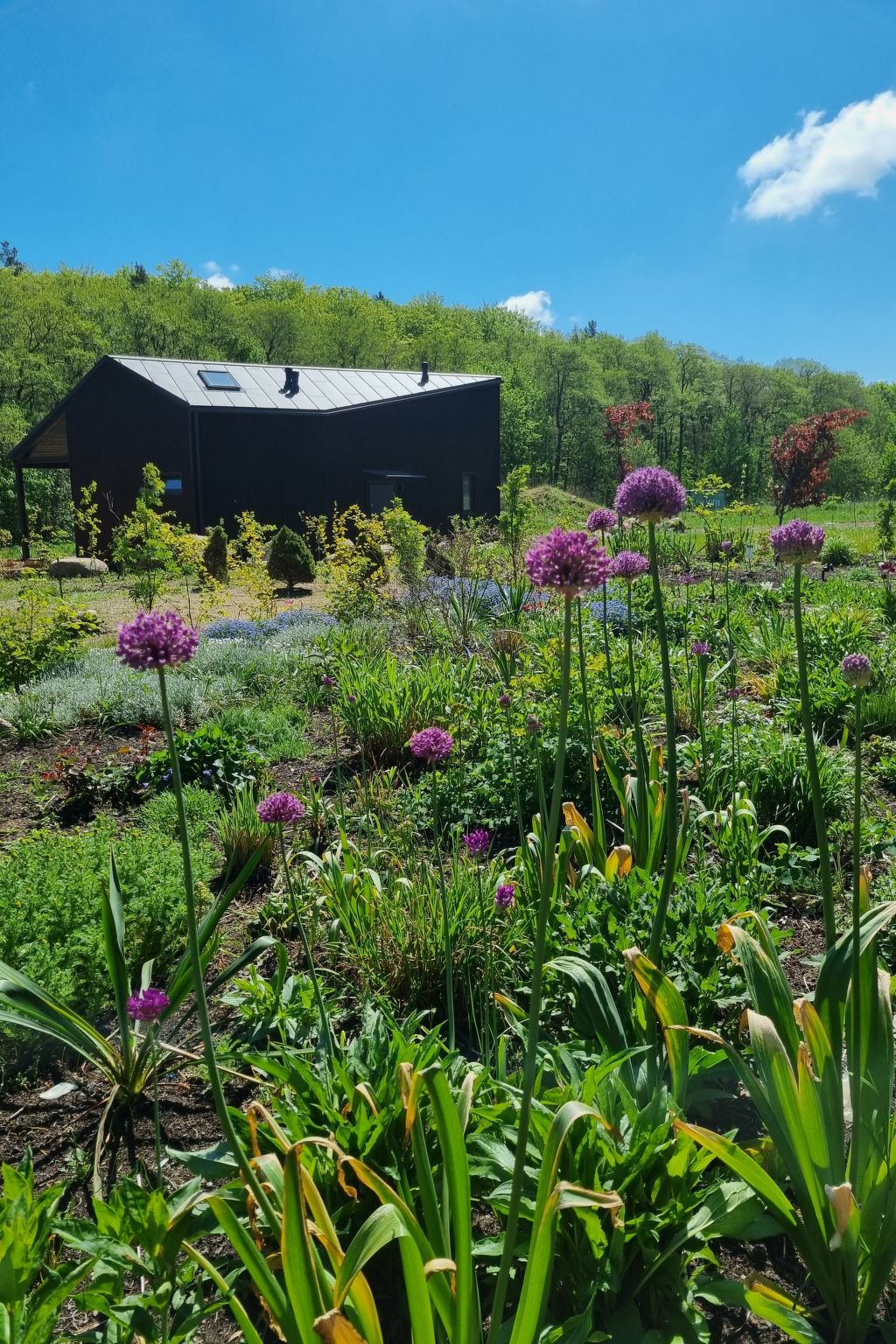 Ferienhaus in Choczewo (Polen) und 1 Hund erlaubt