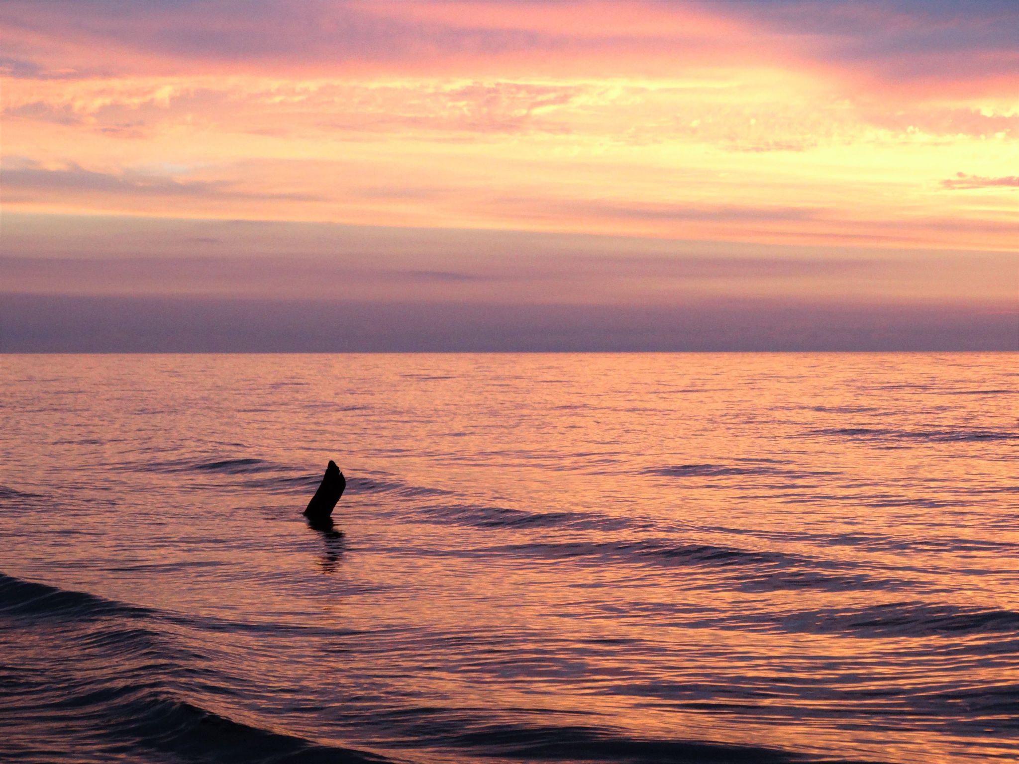 Holzferienhaus Grazyna-Binnen