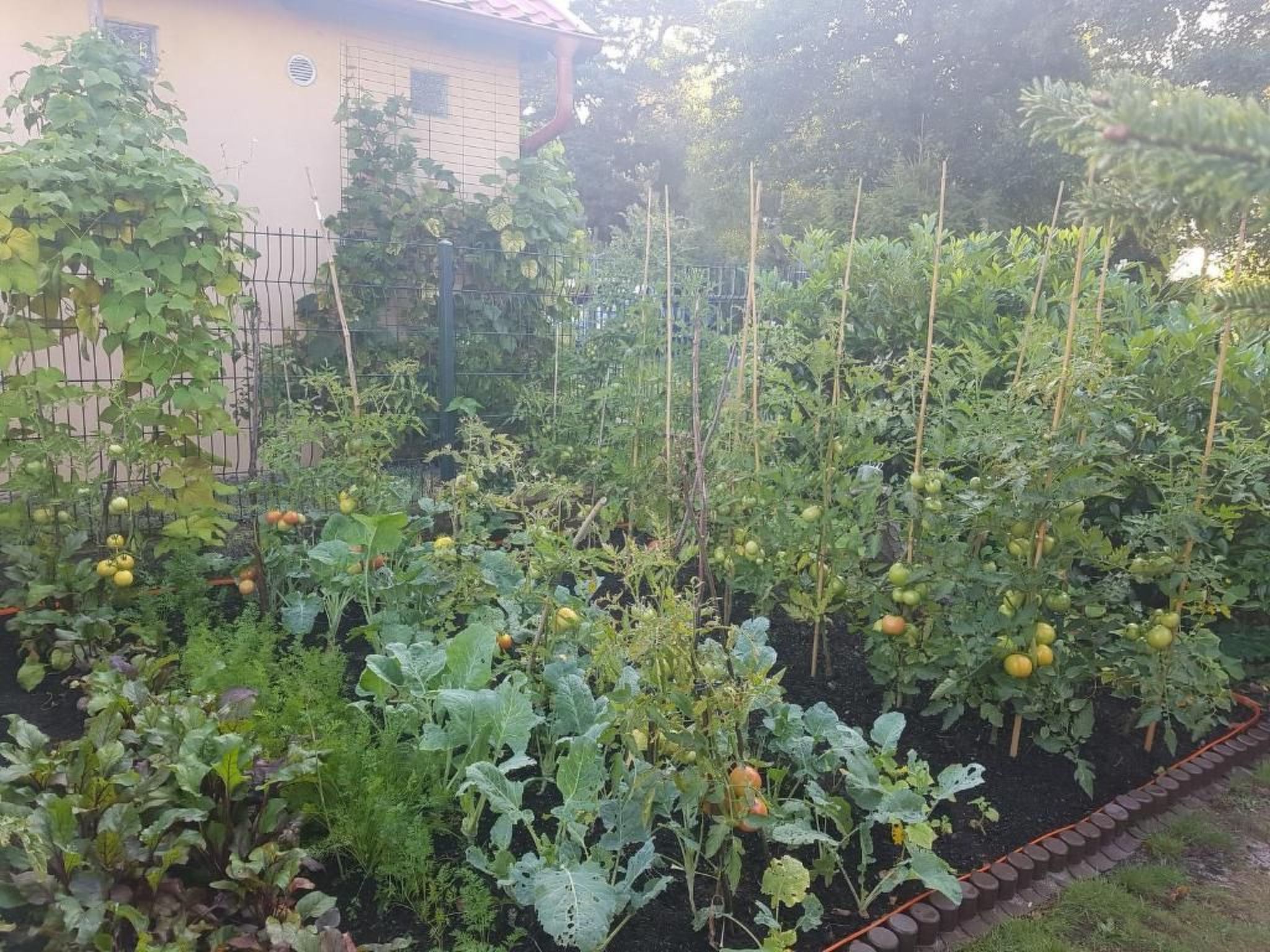 Appartement in Żarnowska mit Großem Garten-Image-tags.info